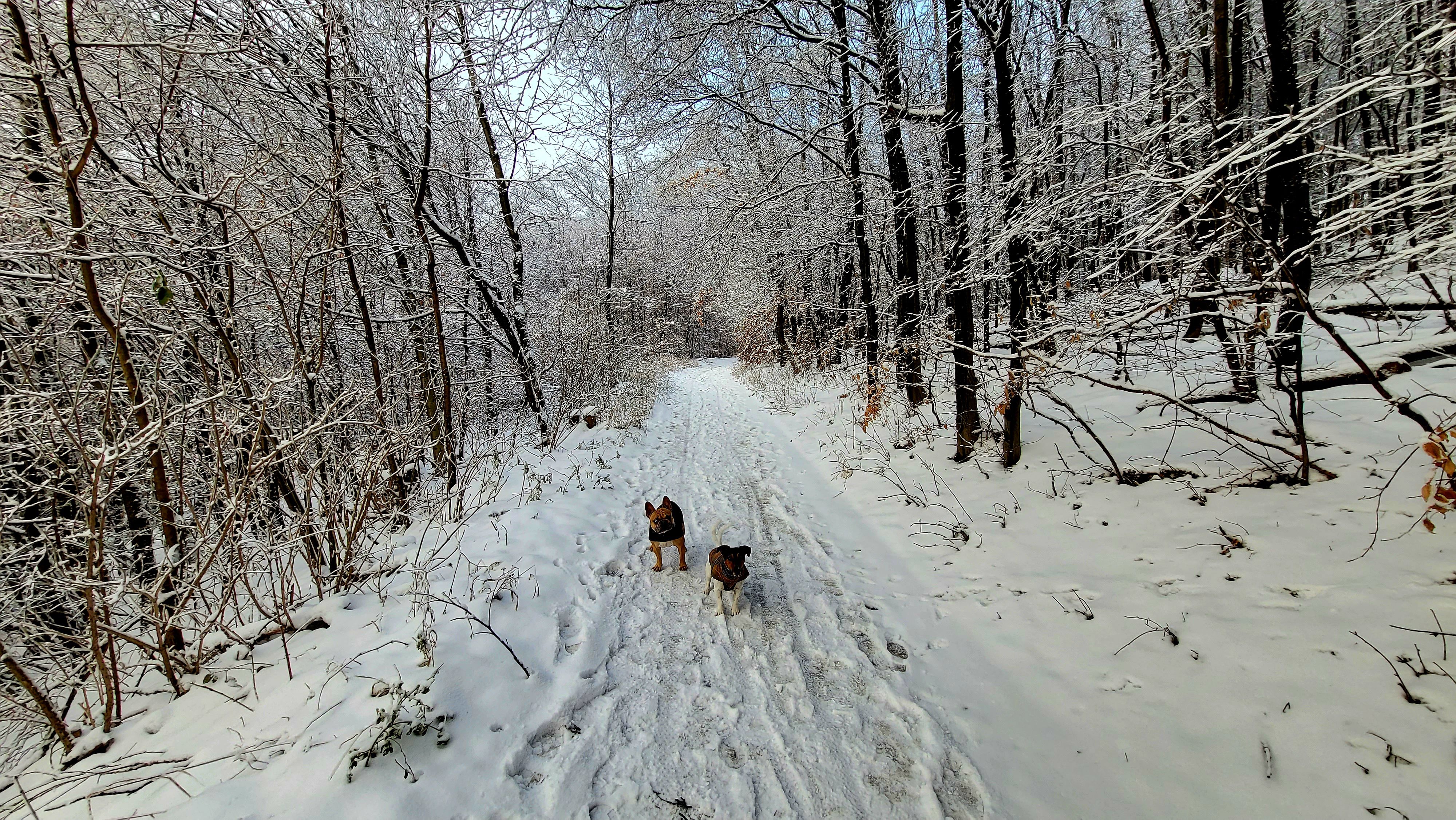 20221218_094003.jpg
