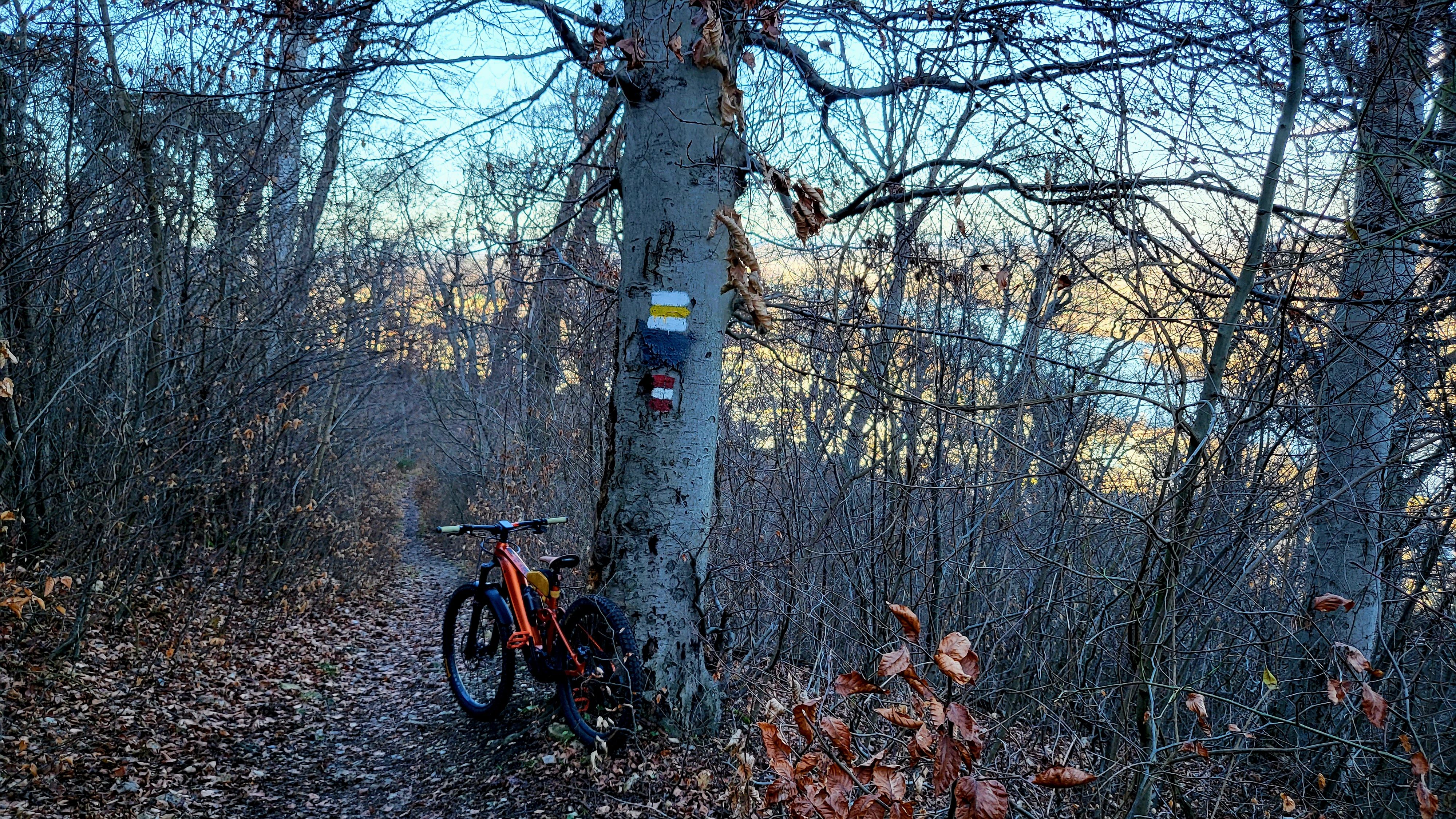 20221227_125319.jpg