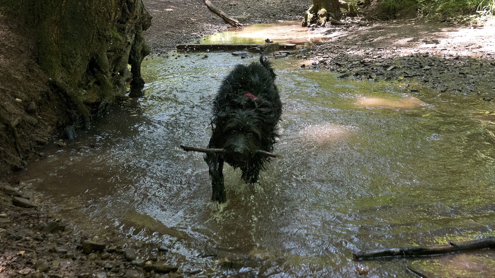 2022_03 Molly 713.jpg