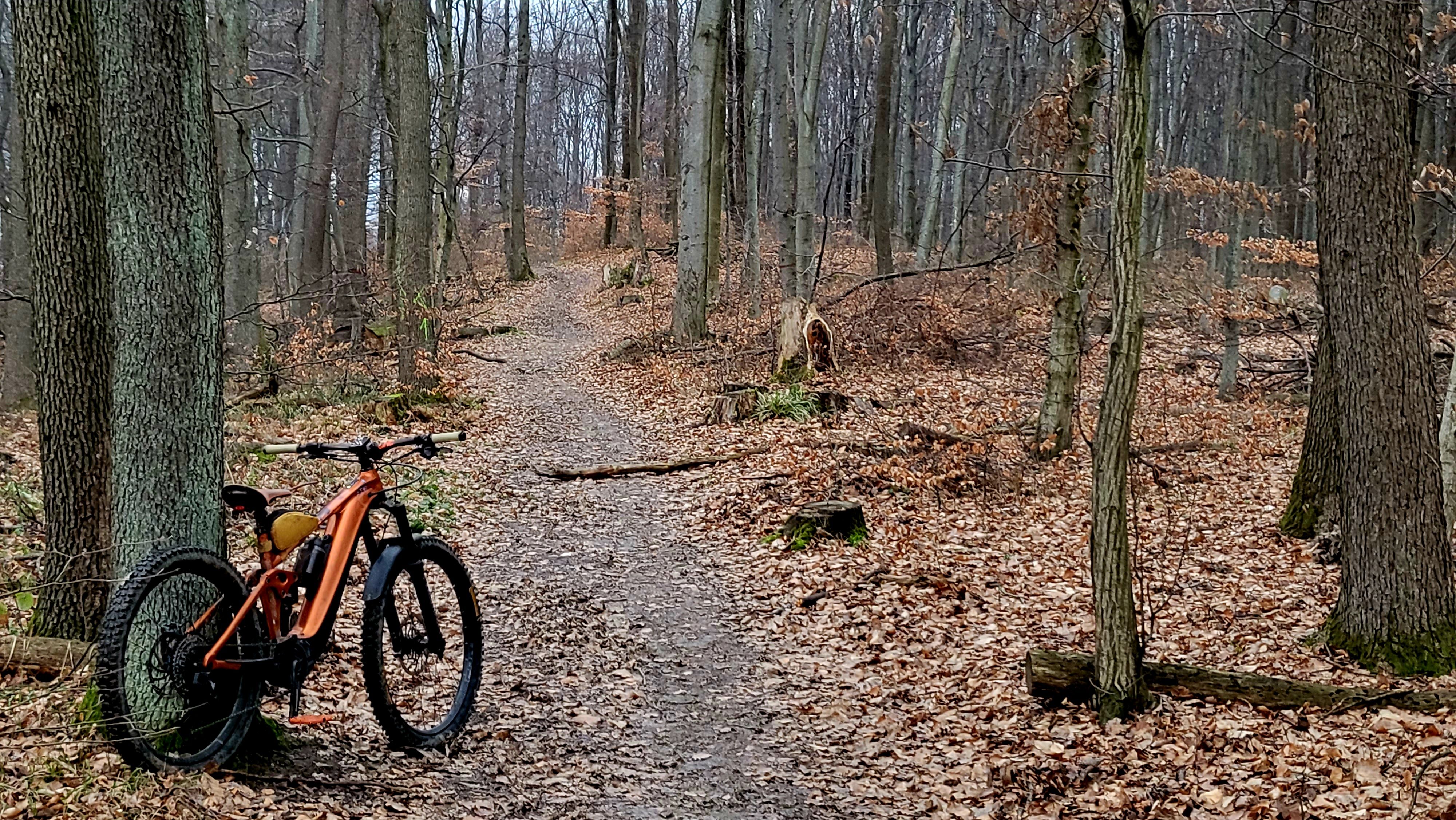 20230115_081506.jpg