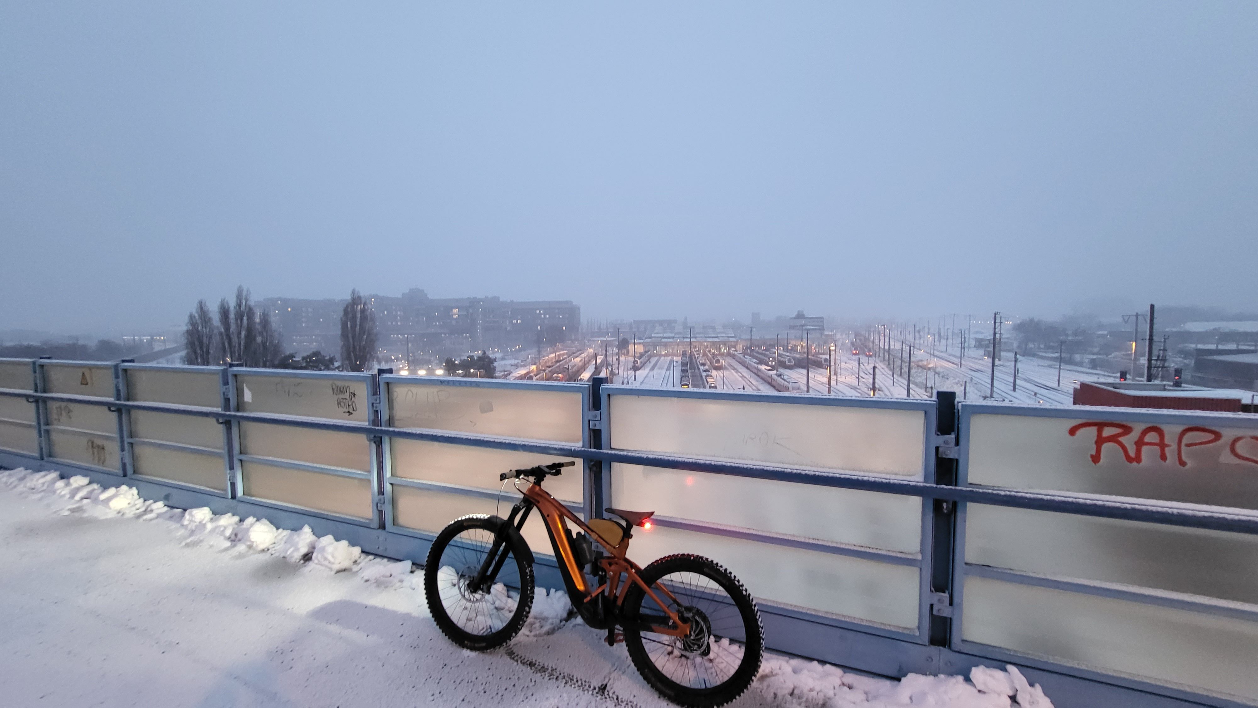 20230122_072911.jpg