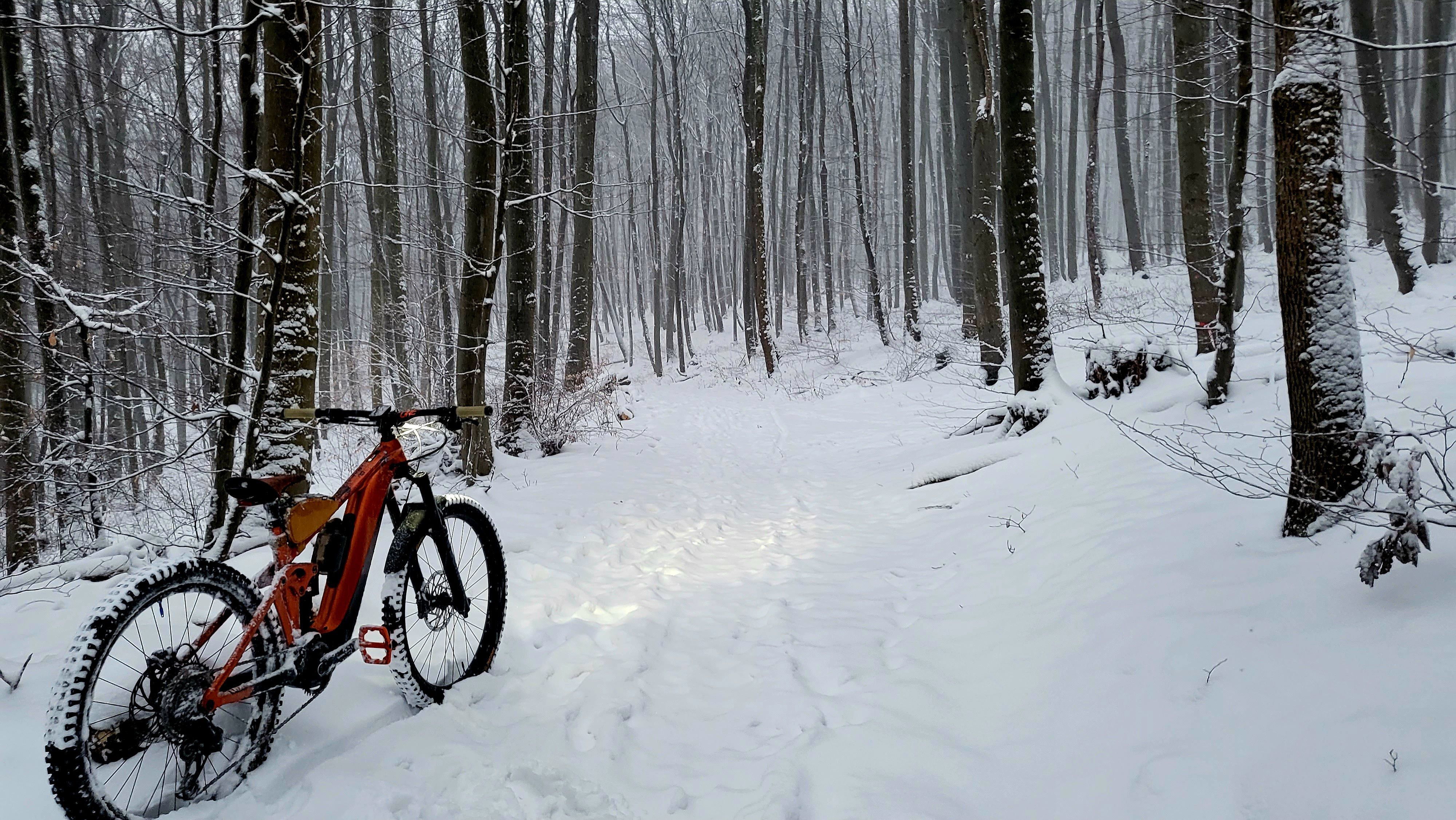 20230122_080811.jpg