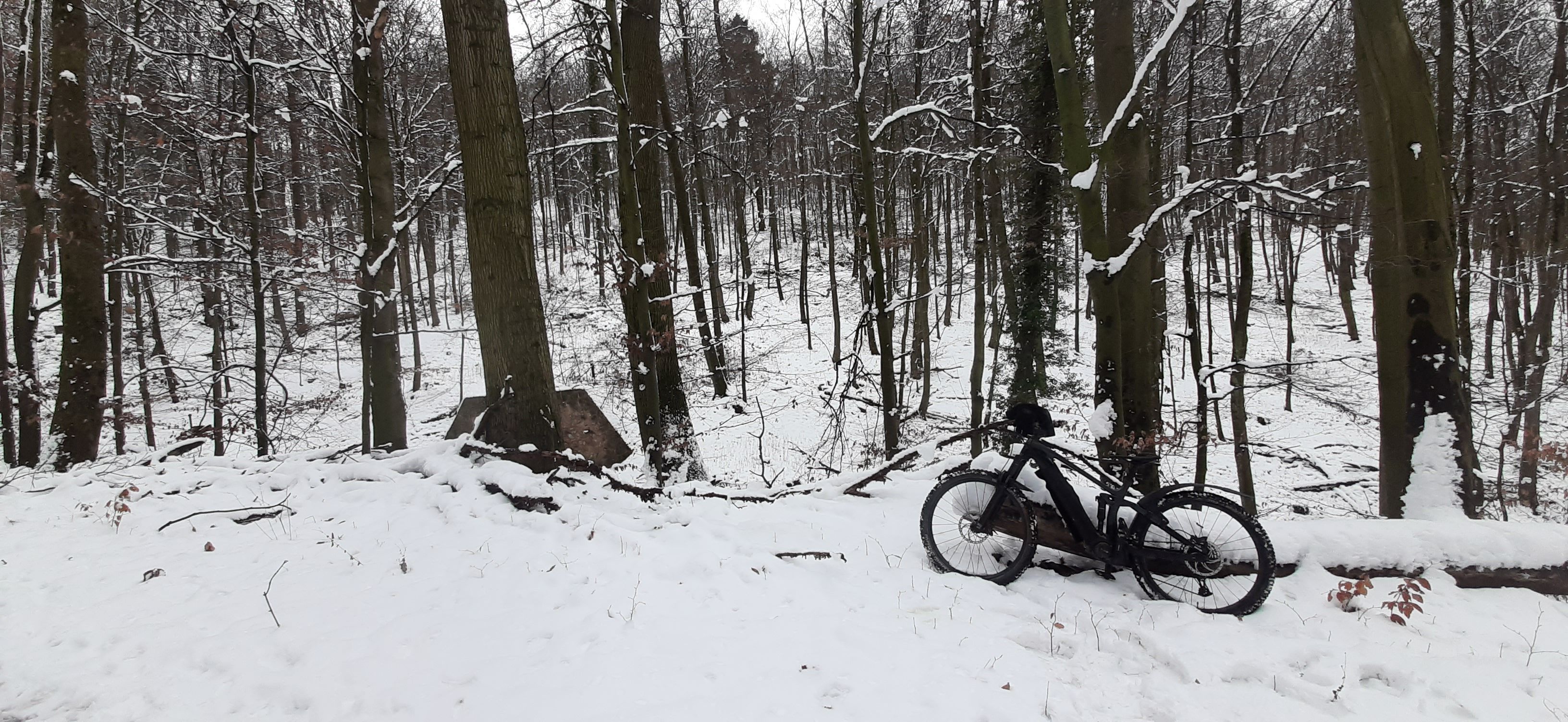 20230122_132555.jpg