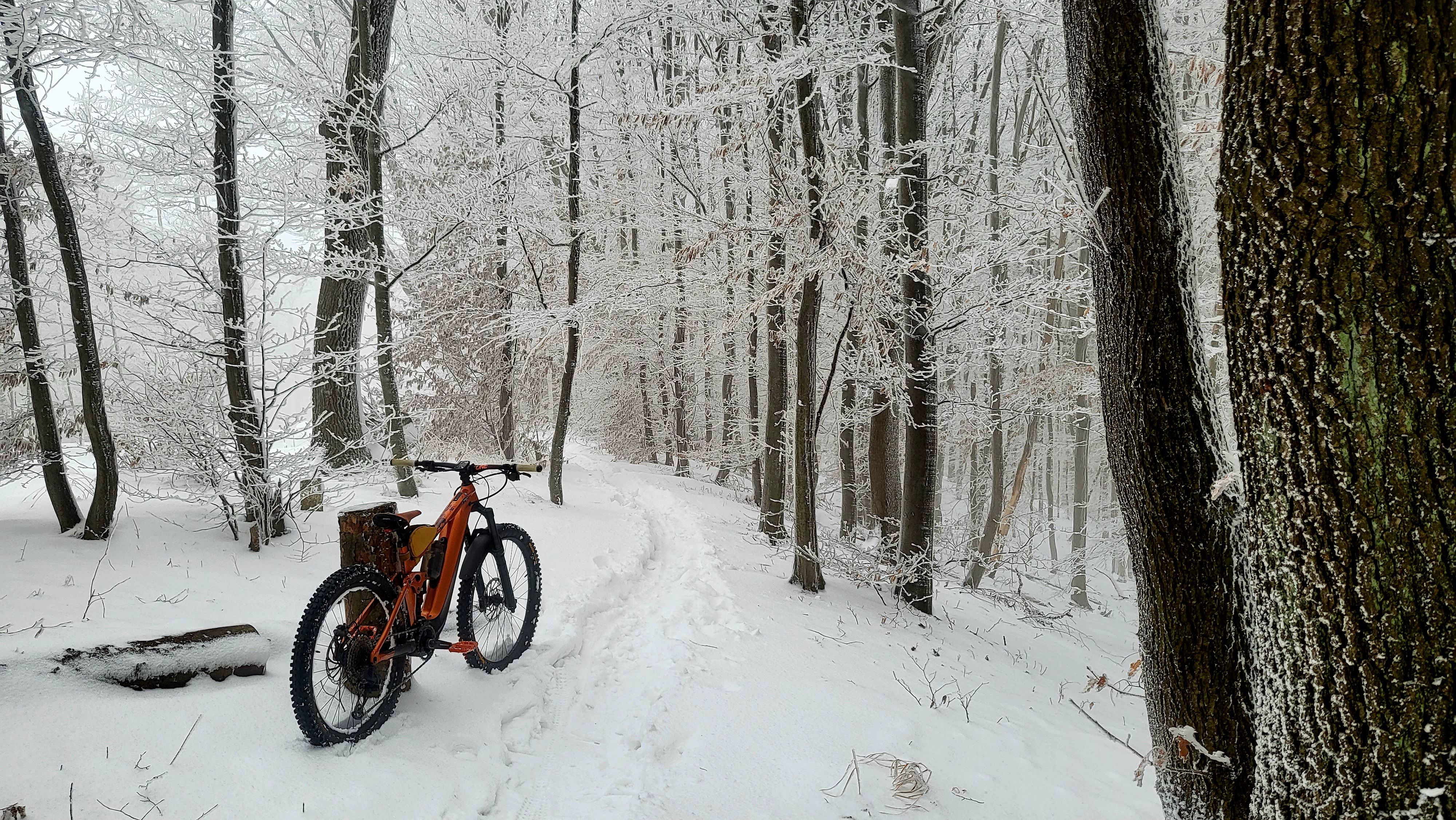 20230123_135605.jpg