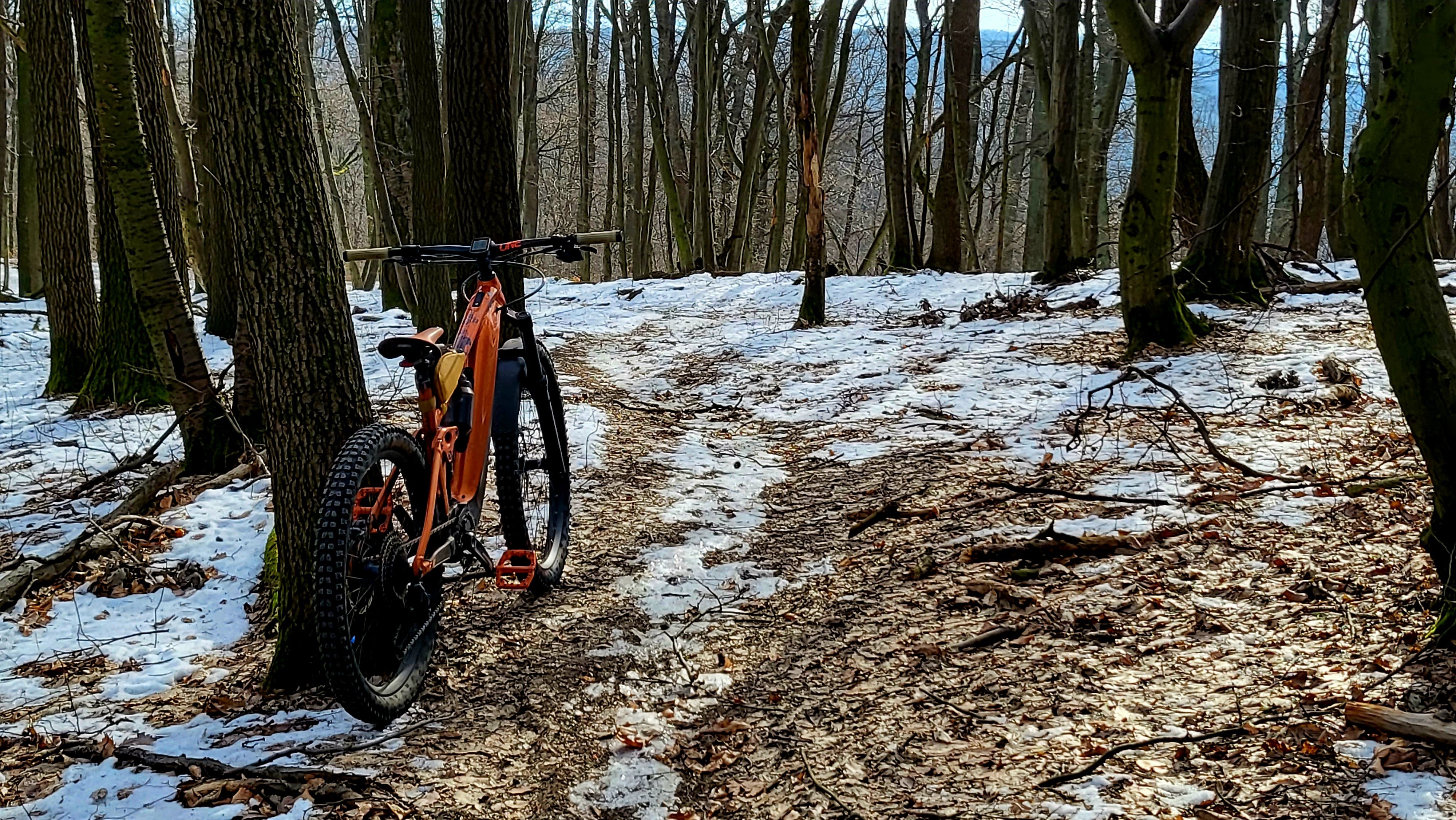 20230206_110636.jpg