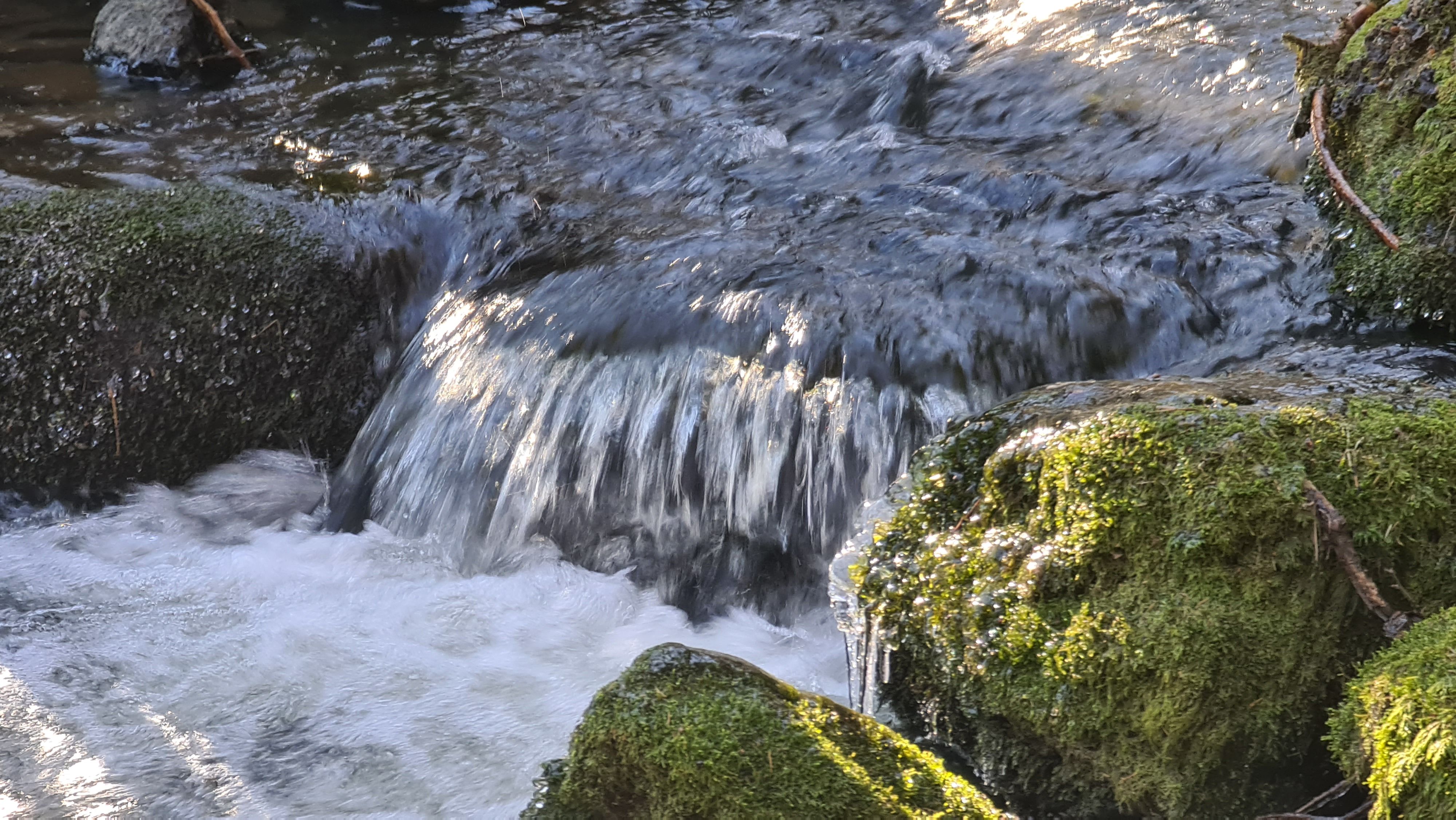 20230208_105937.jpg