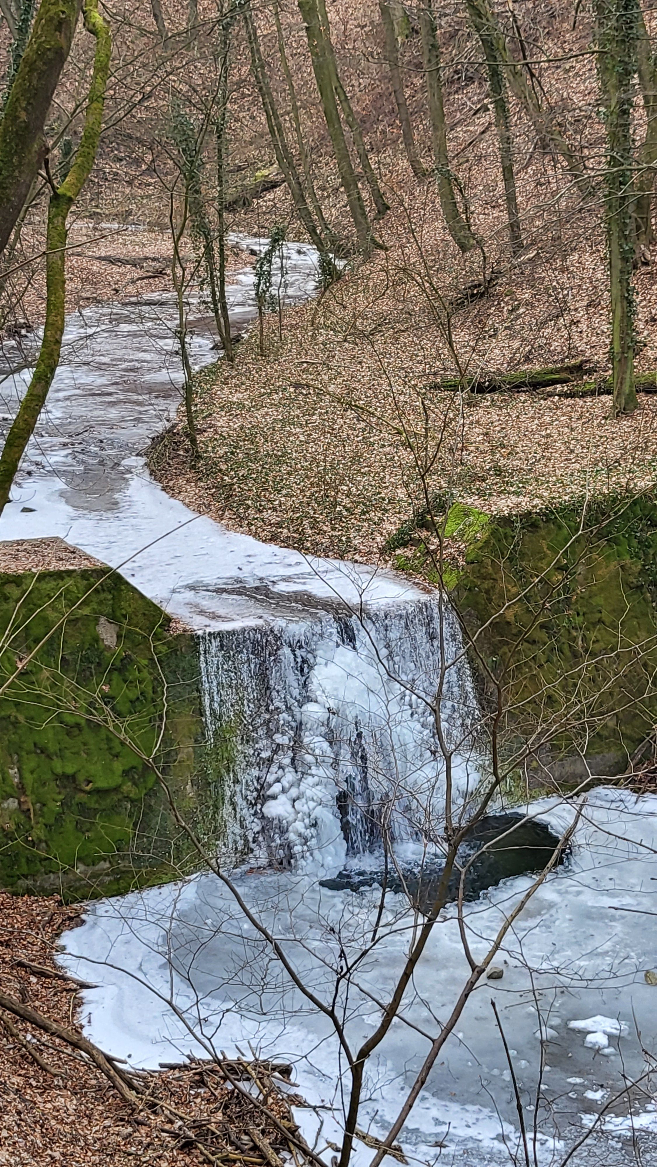 20230211_090445.jpg
