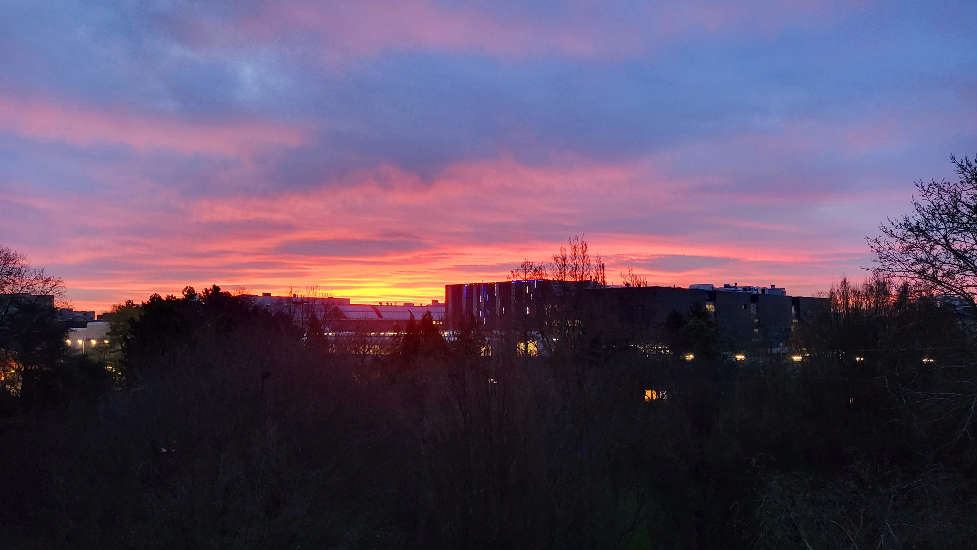 20230314_055335.jpg