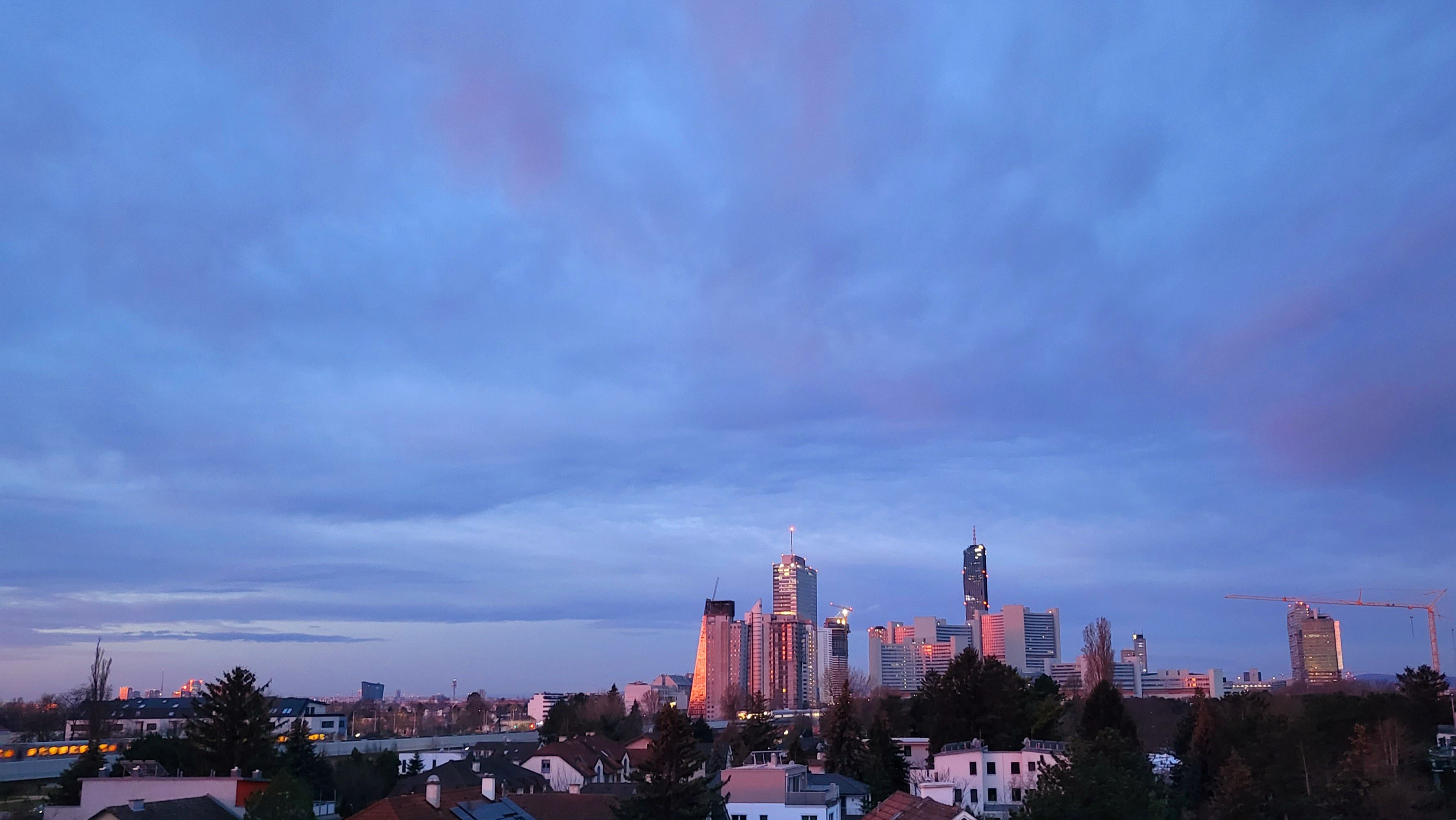 20230314_055511.jpg