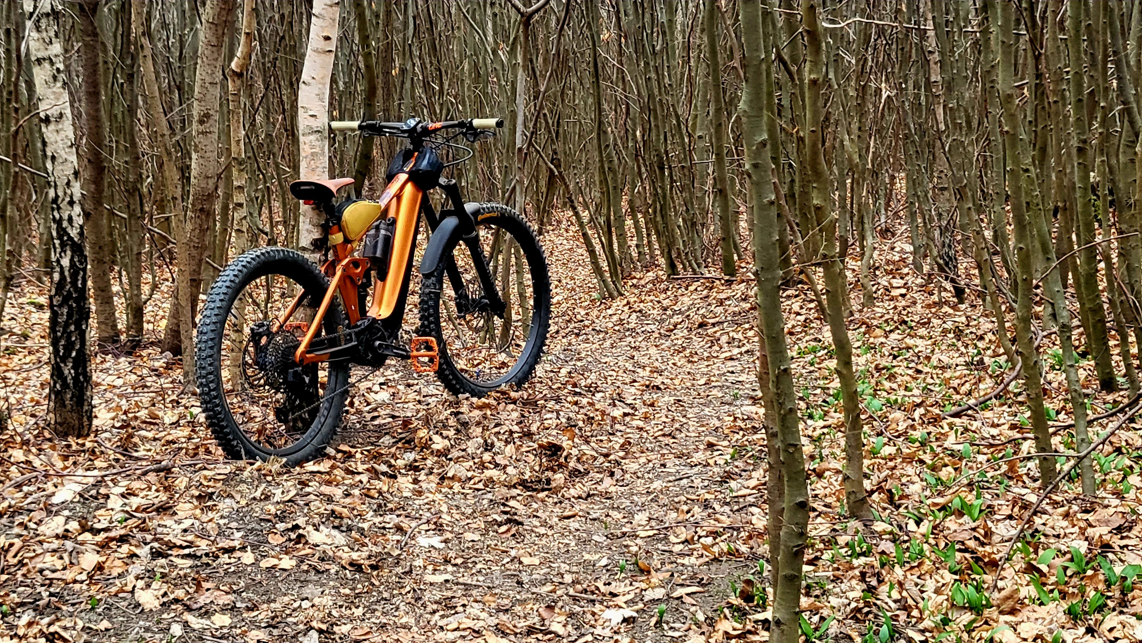 20230314_140649.jpg