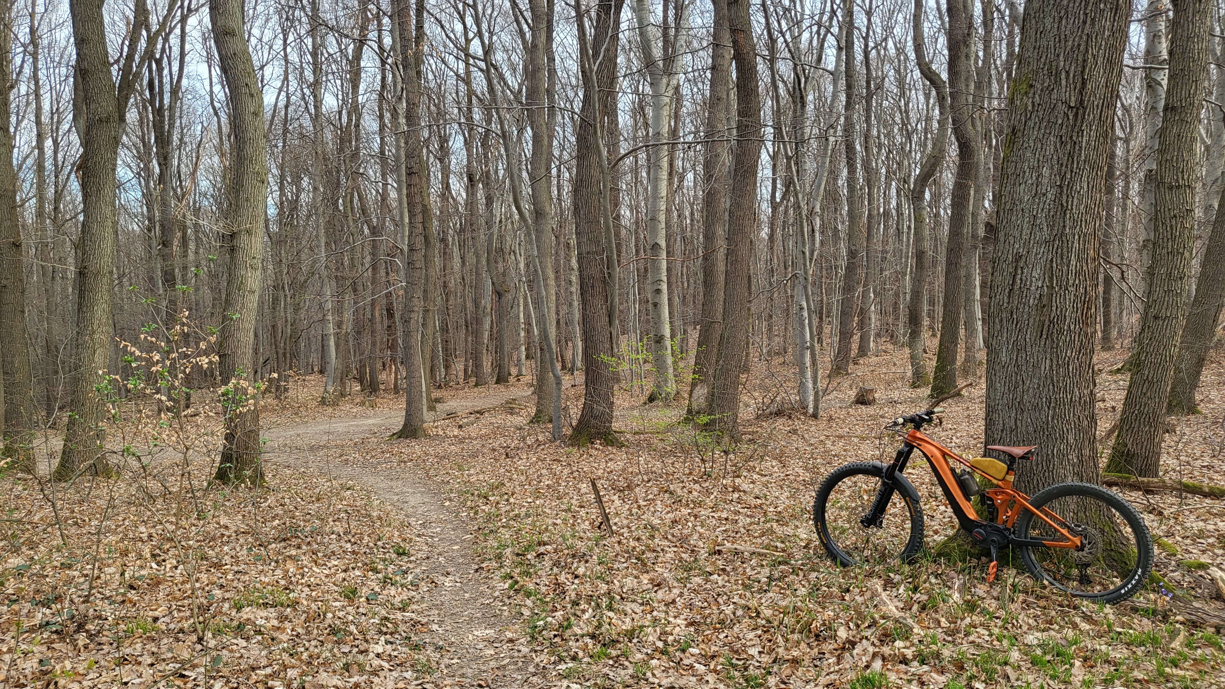 20230323_080240.jpg