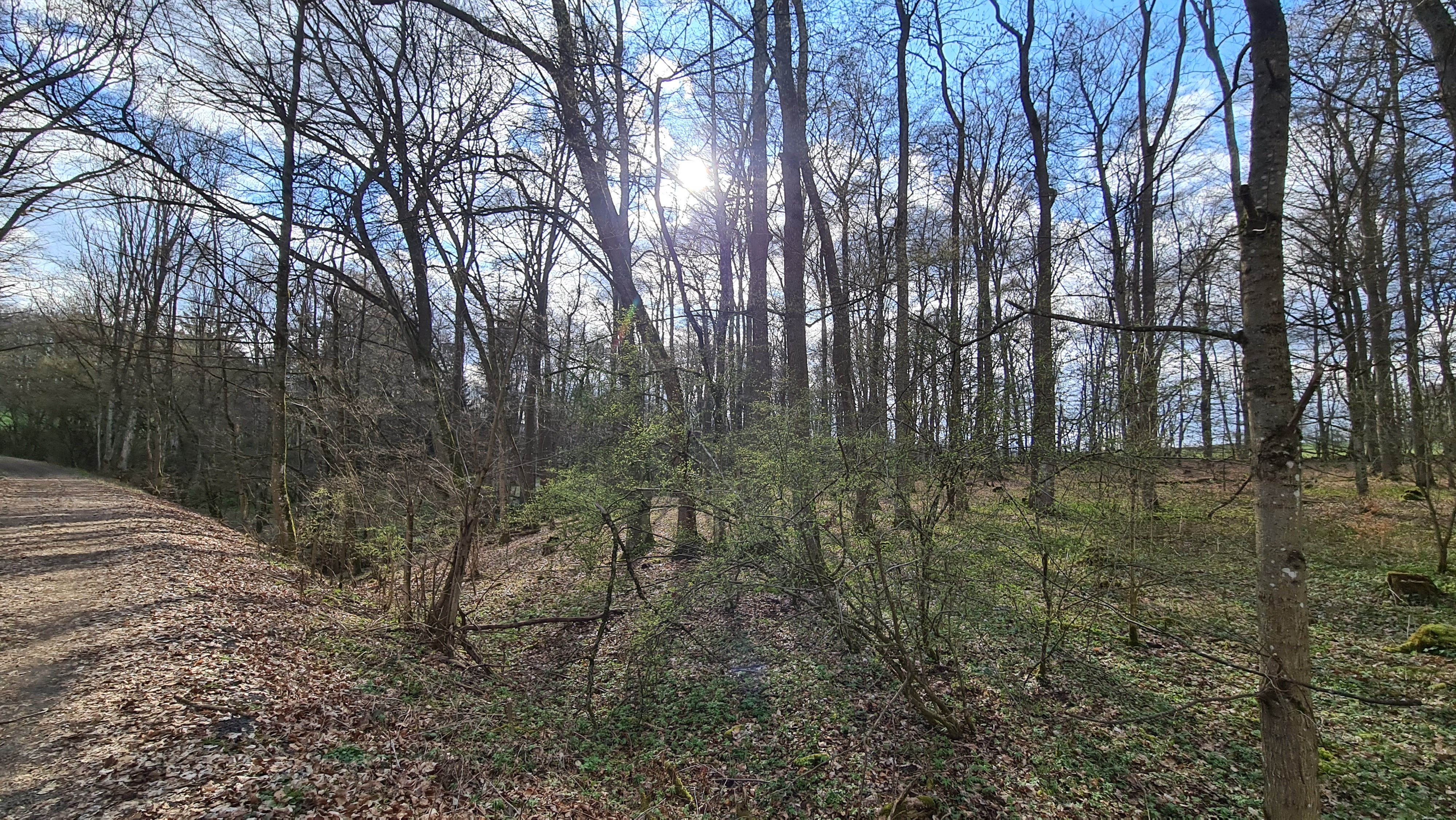 20230405_165253.jpg