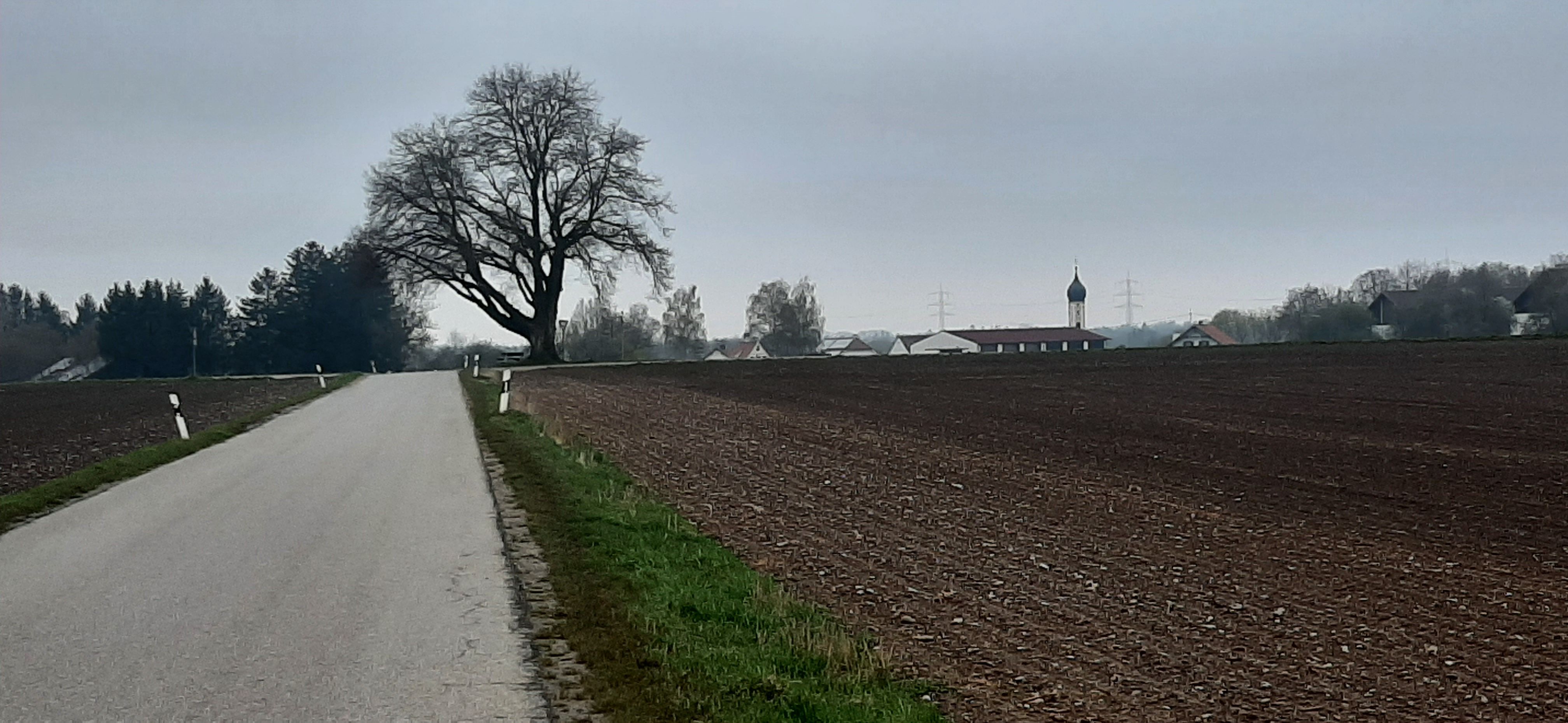 20230418_071356.jpg