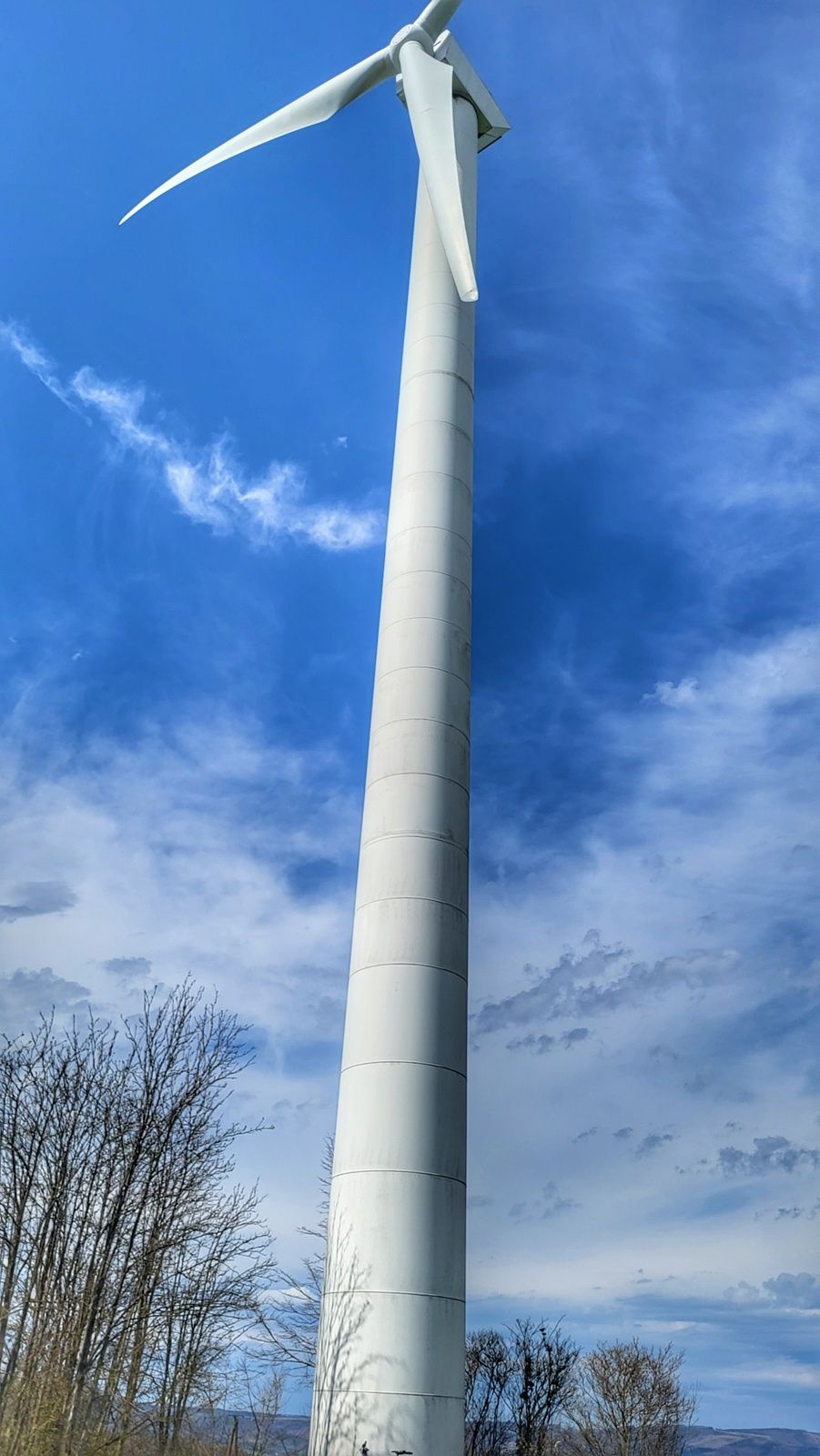 20230422_140241-01.jpg