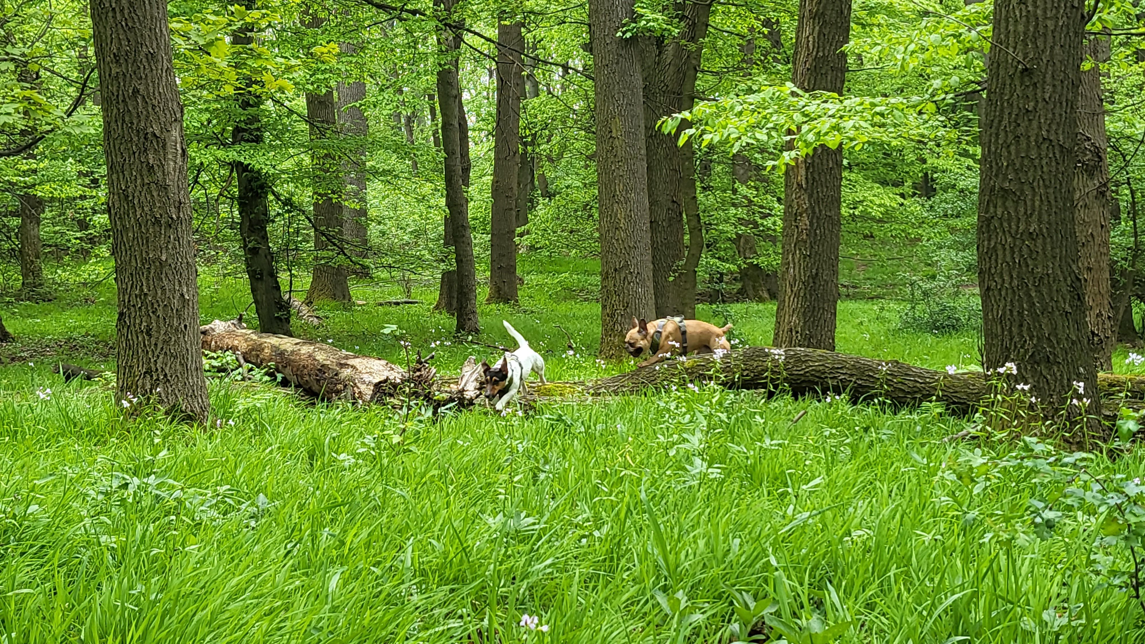 20230507_092700.jpg