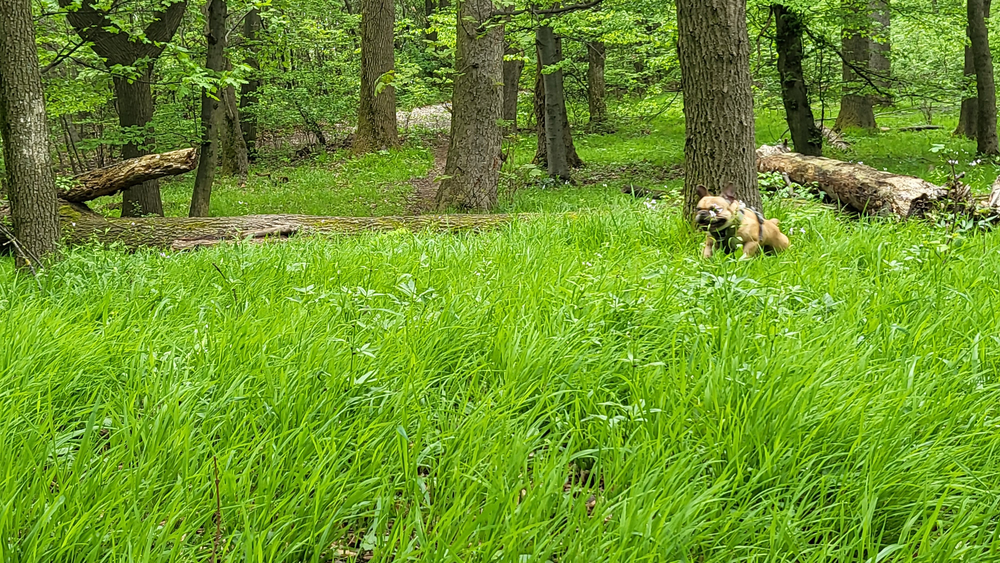 20230507_092703.jpg