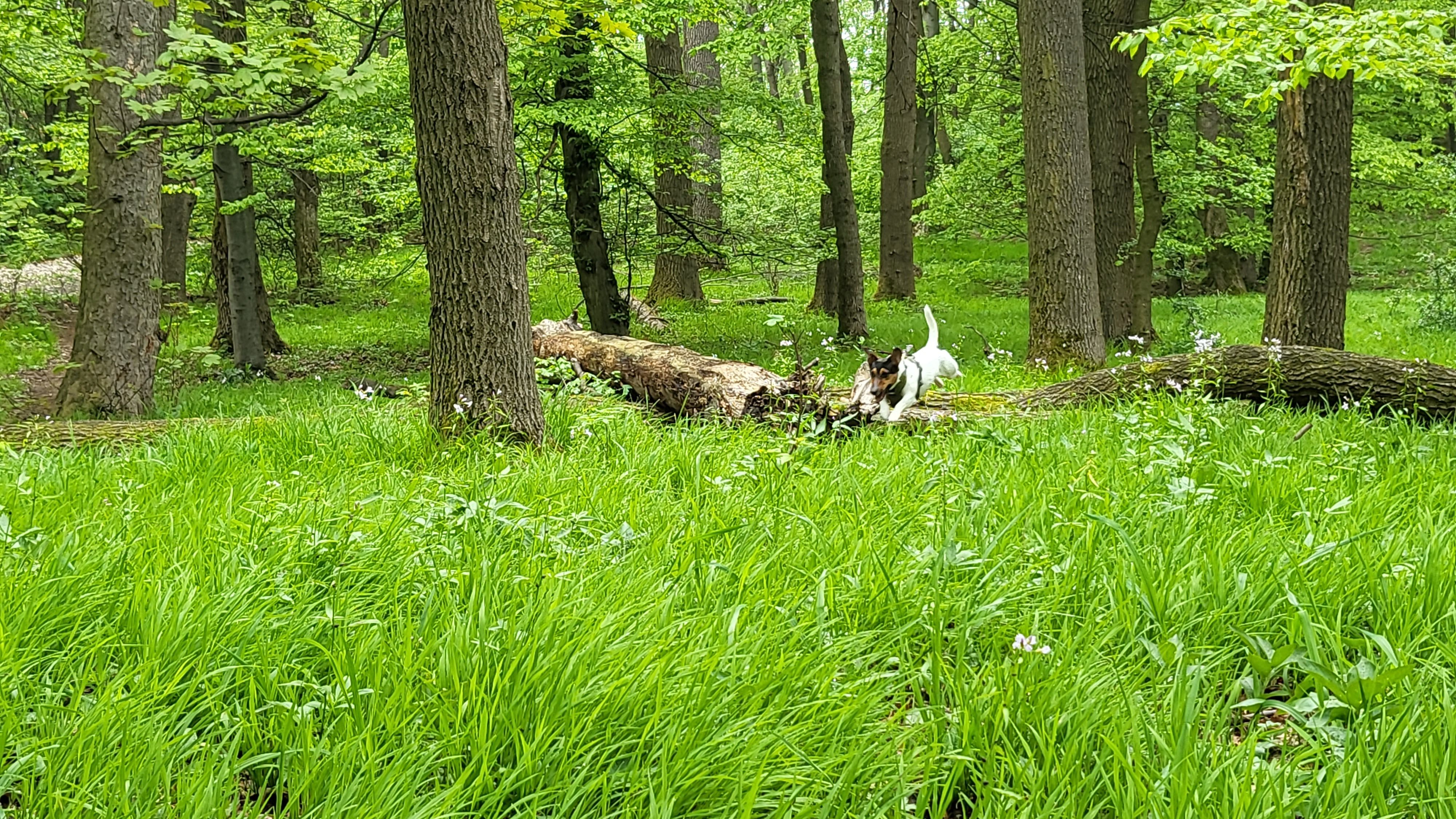 20230507_092730.jpg