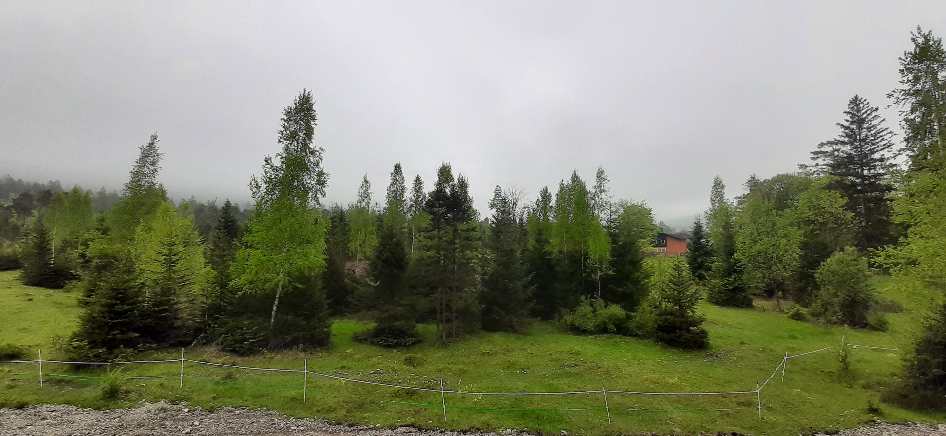 20230513_083808.jpg