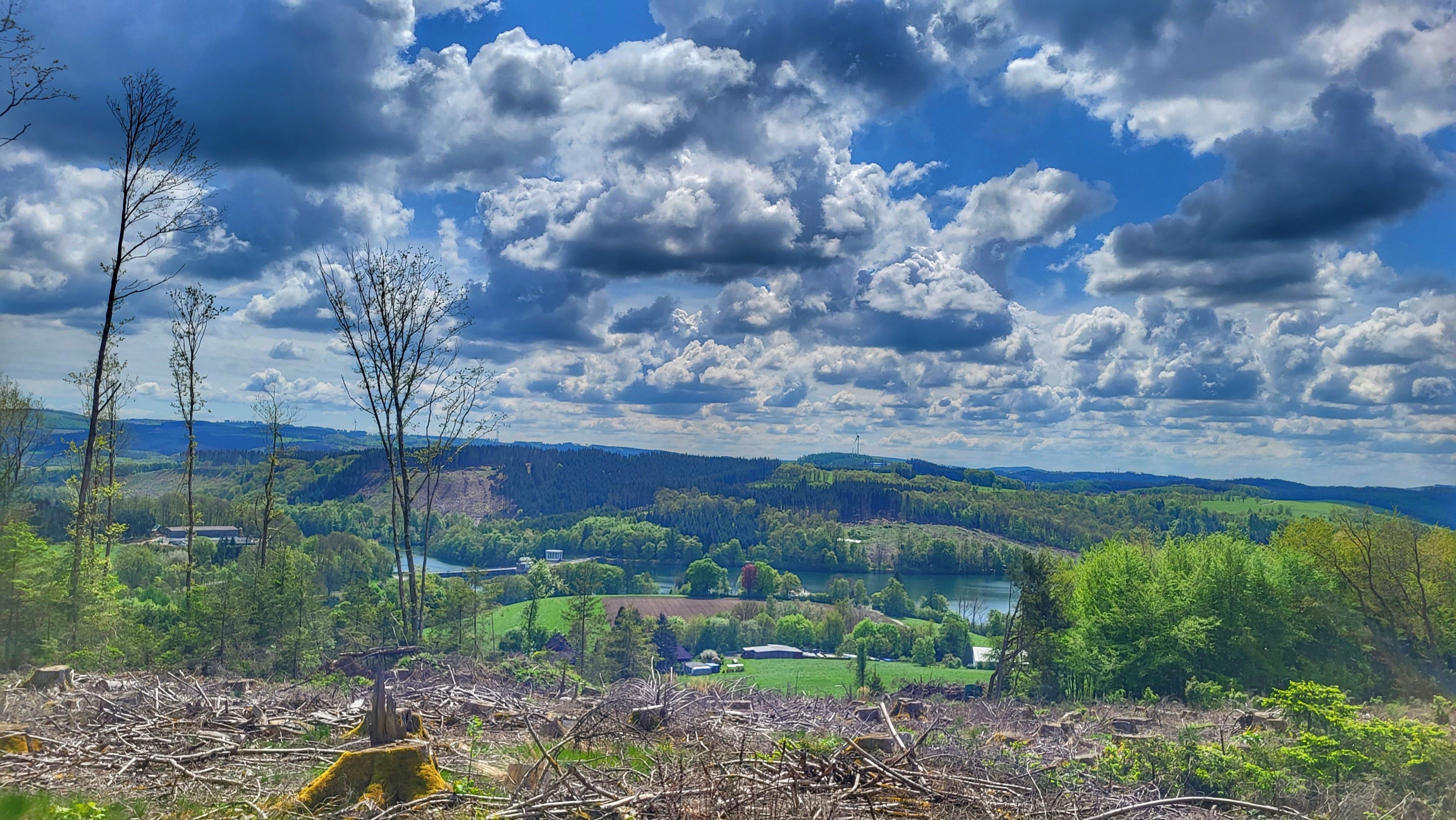 20230514_122758-01.jpg