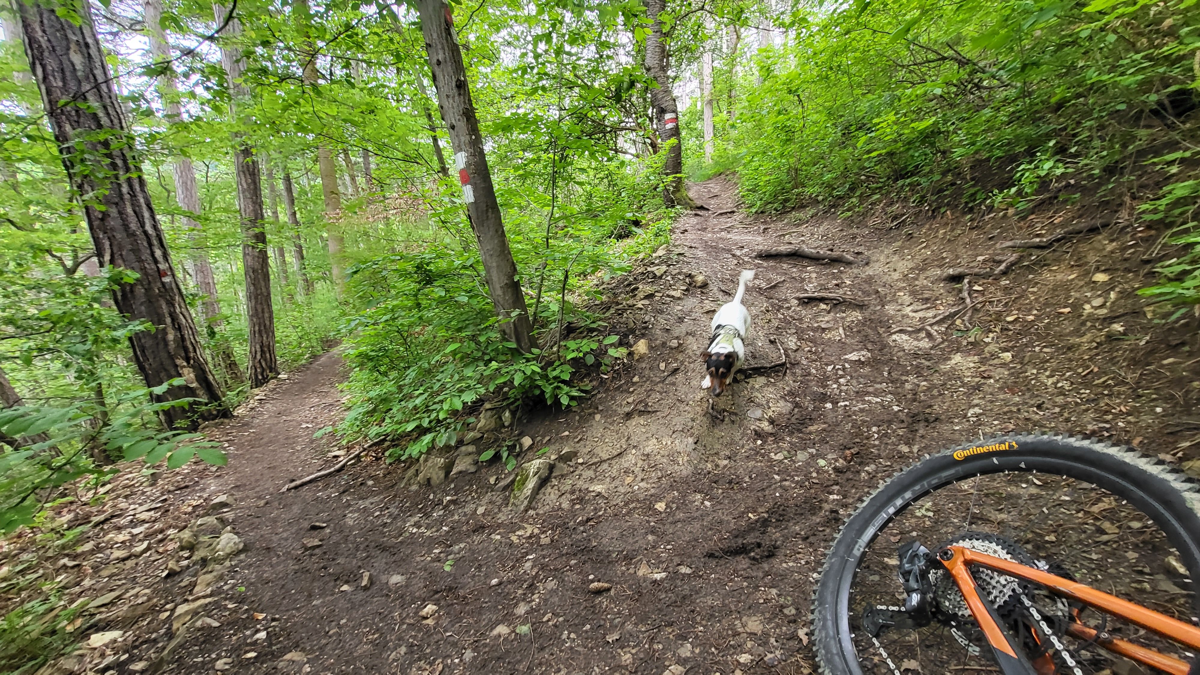 20230520_092343.jpg