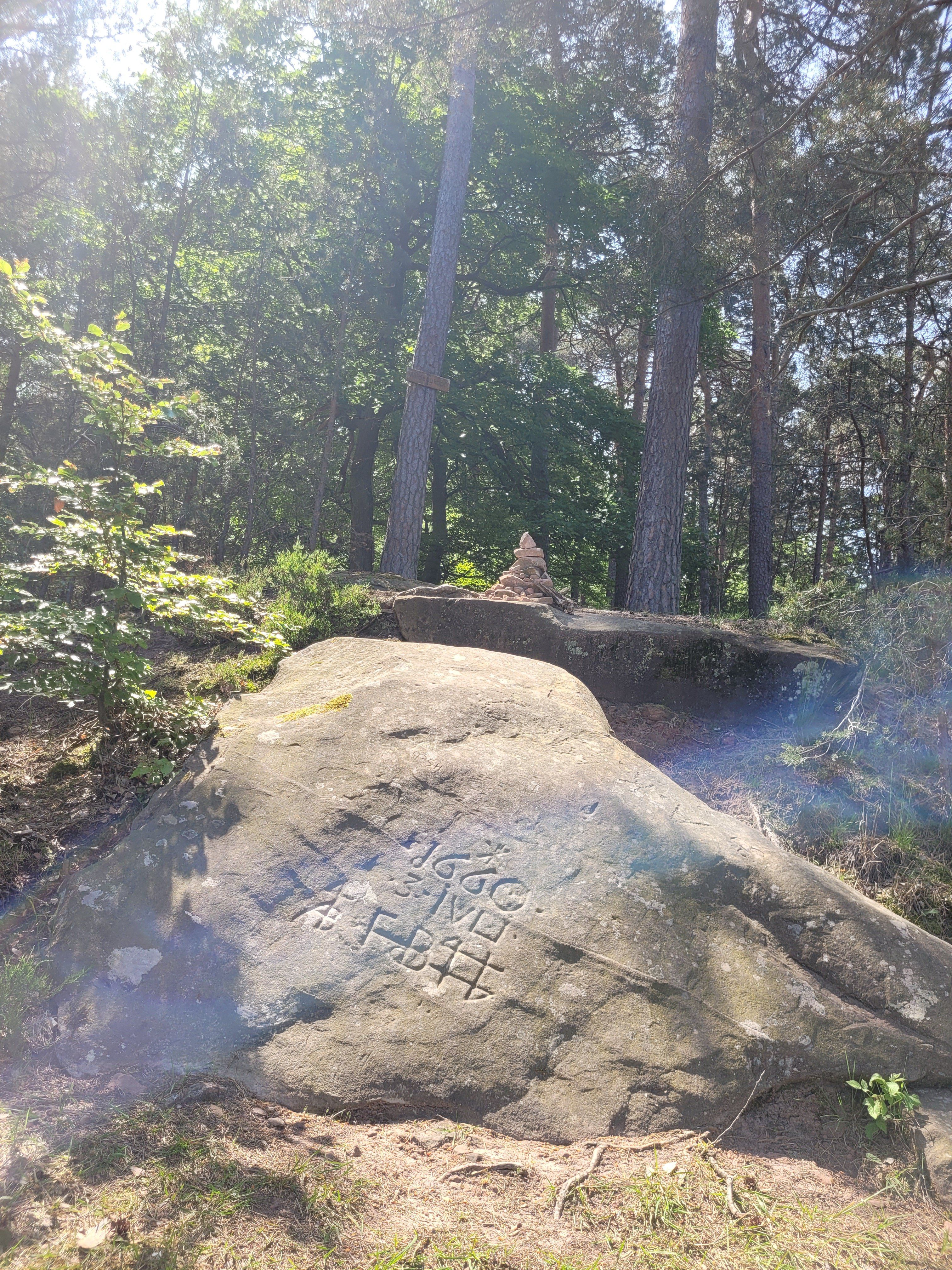 20230528_114901.jpg
