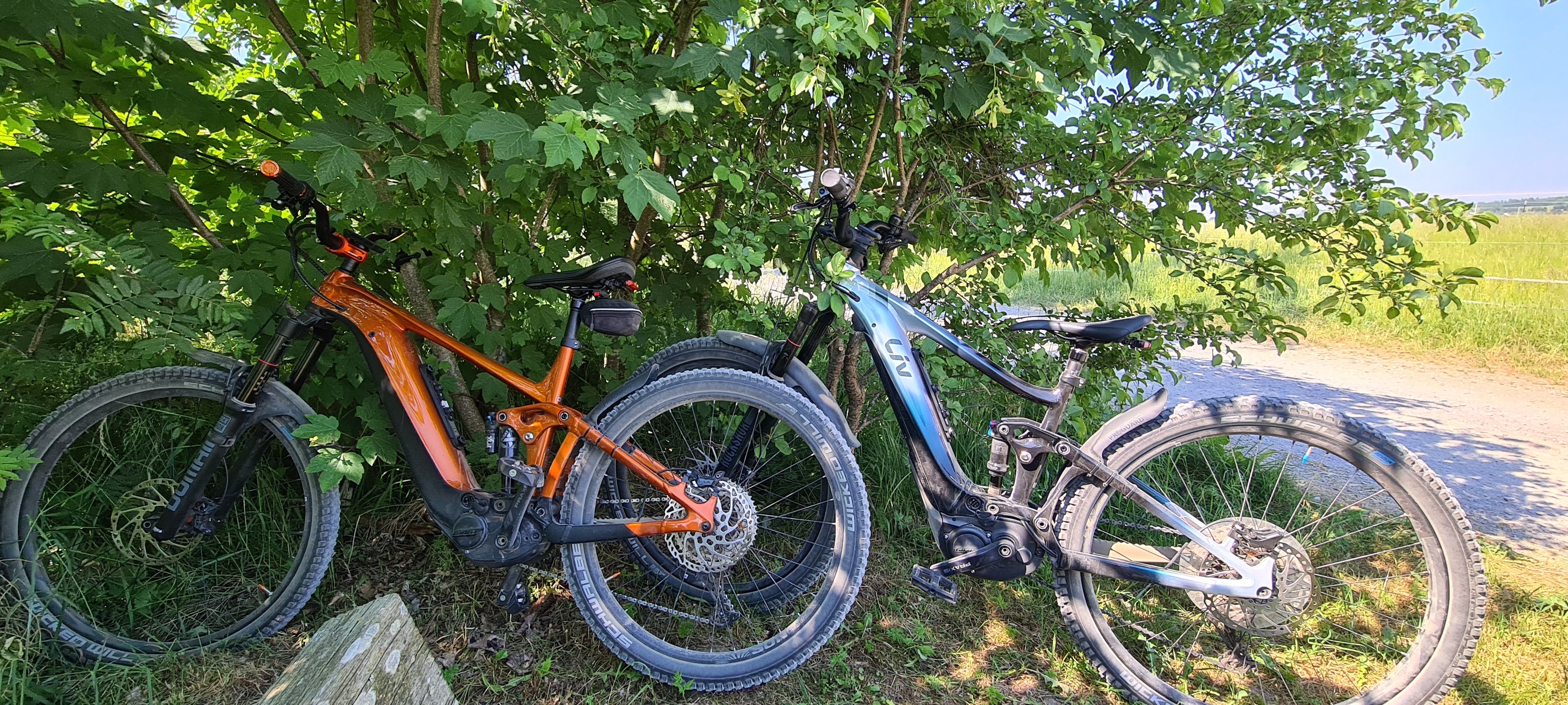 20230611_110355.jpg