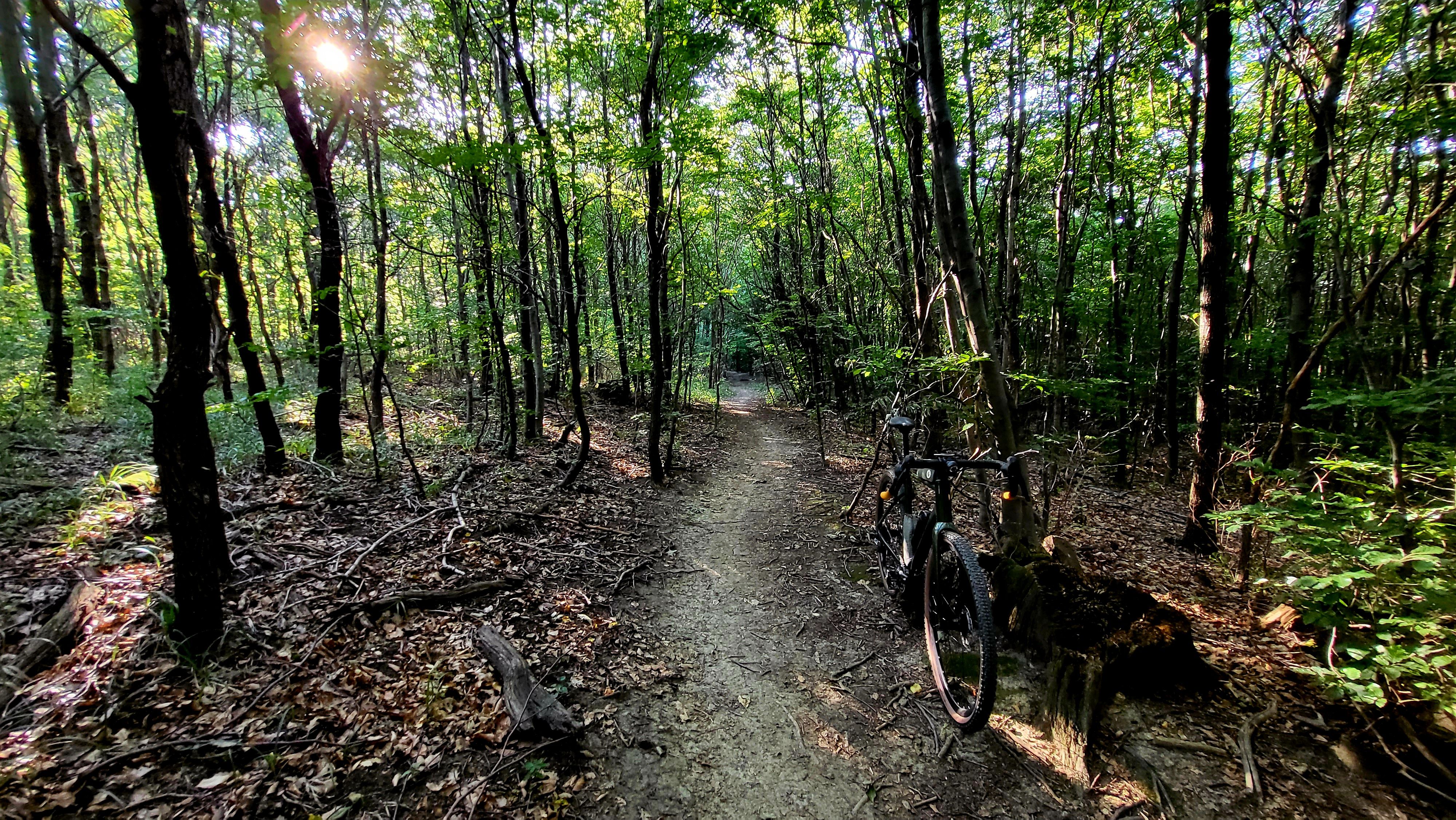 20230714_074957.jpg