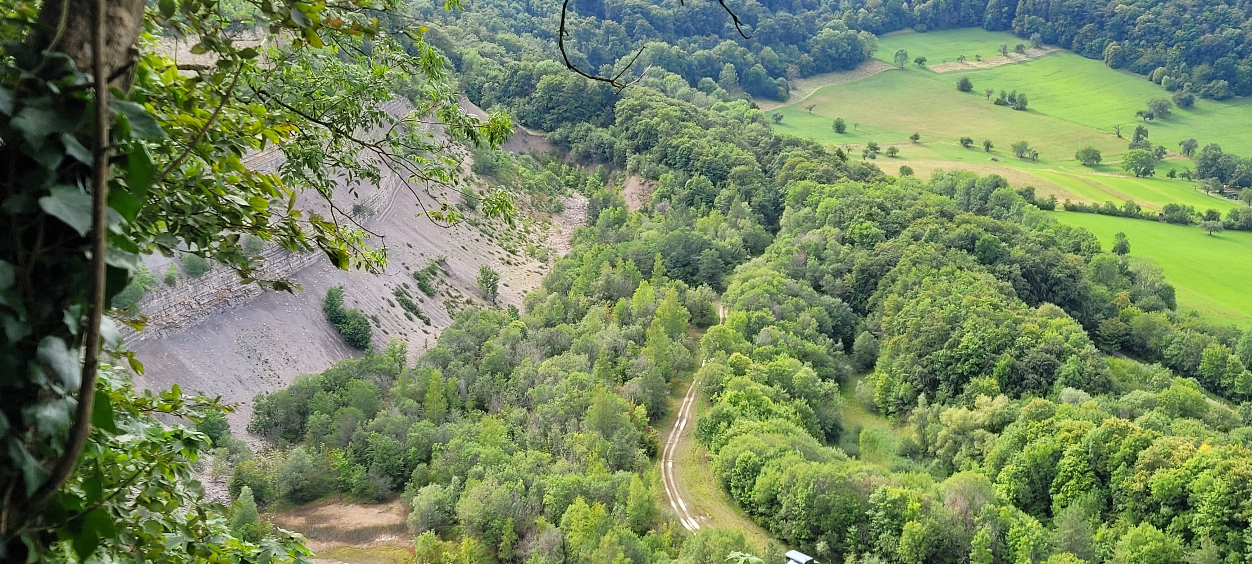 20230805_170637.jpg