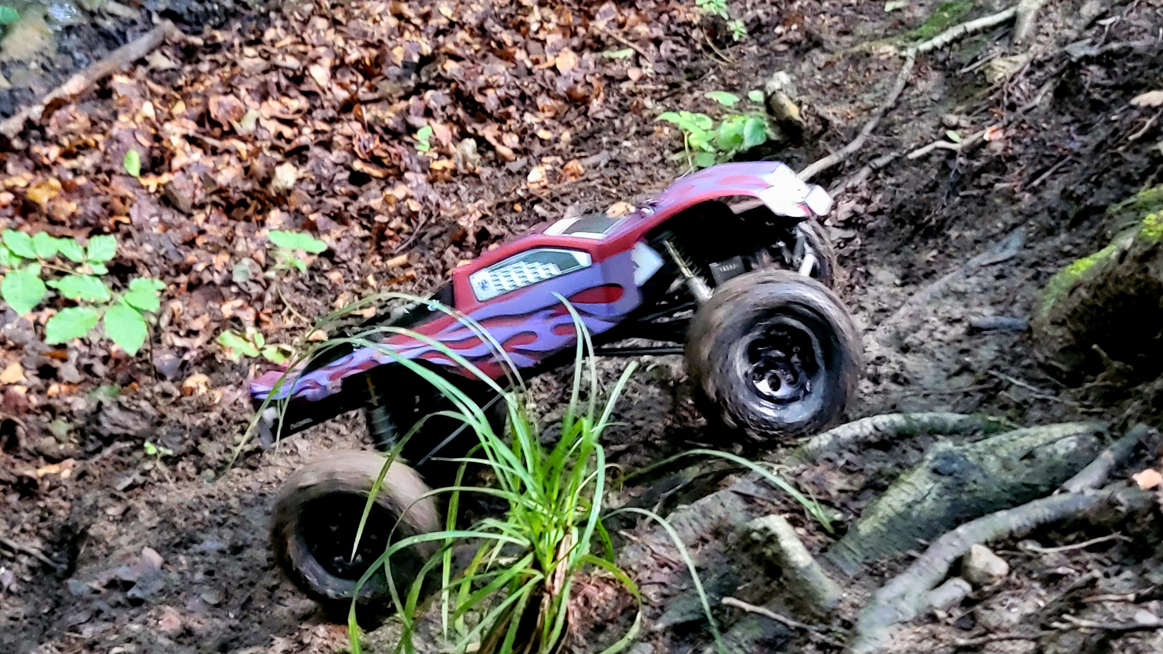 20230810_094505.jpg