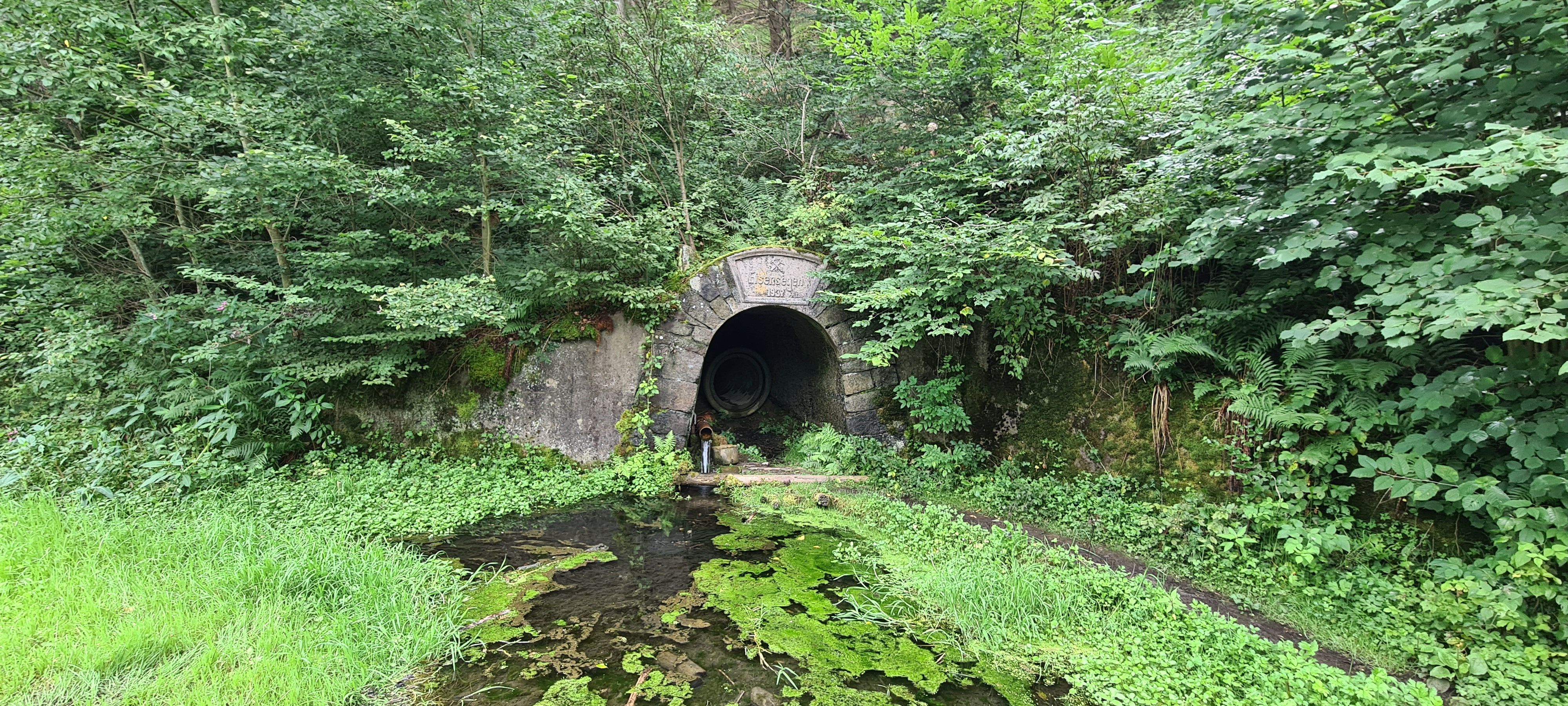 20230813_132939.jpg