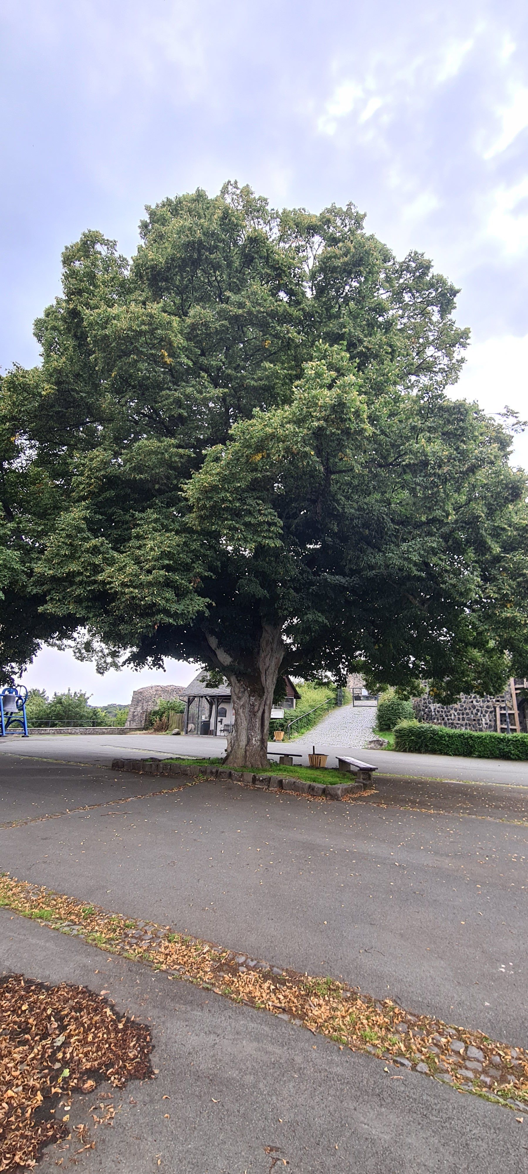 20230814_121742.jpg