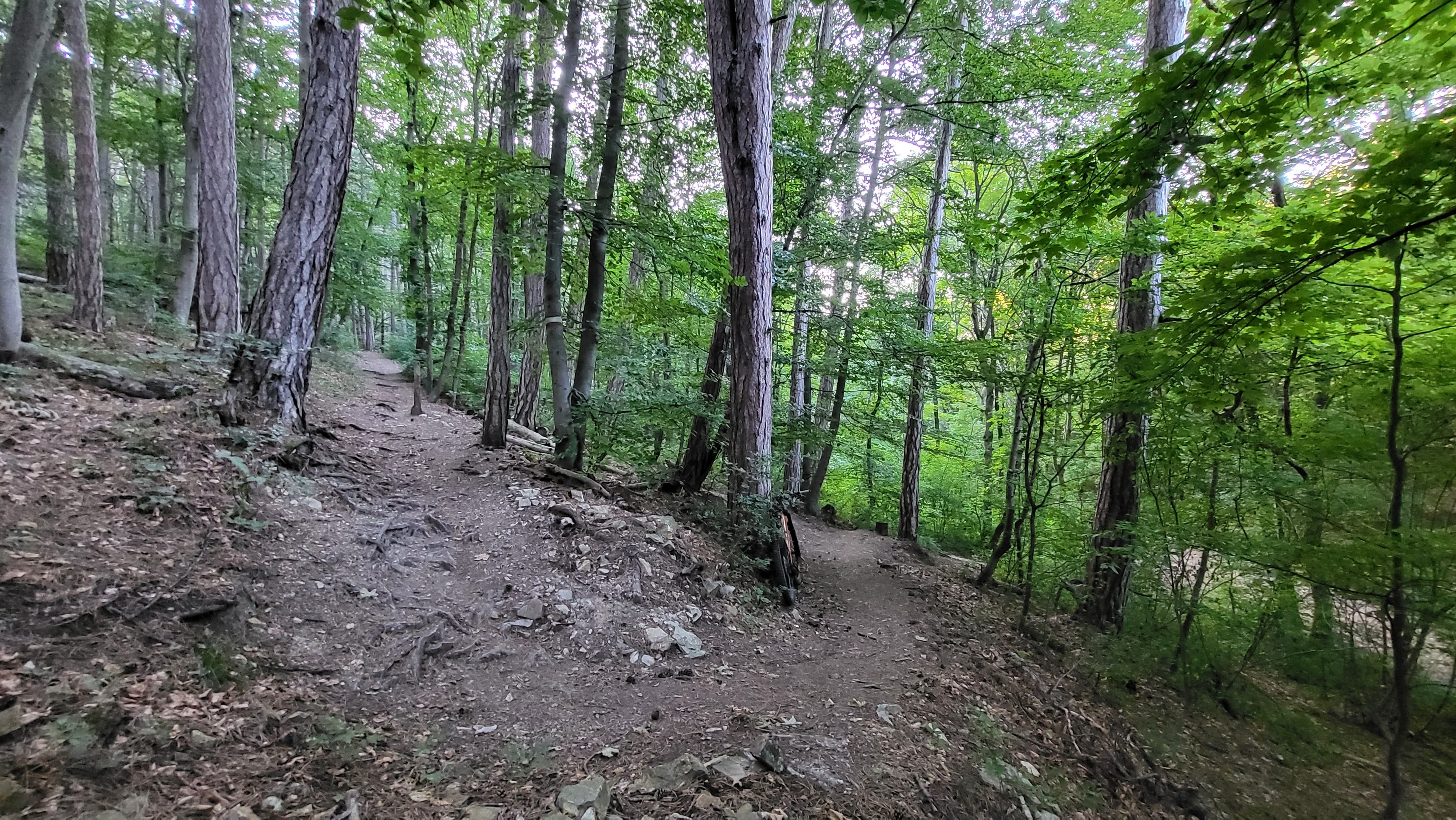20230815_072218.jpg