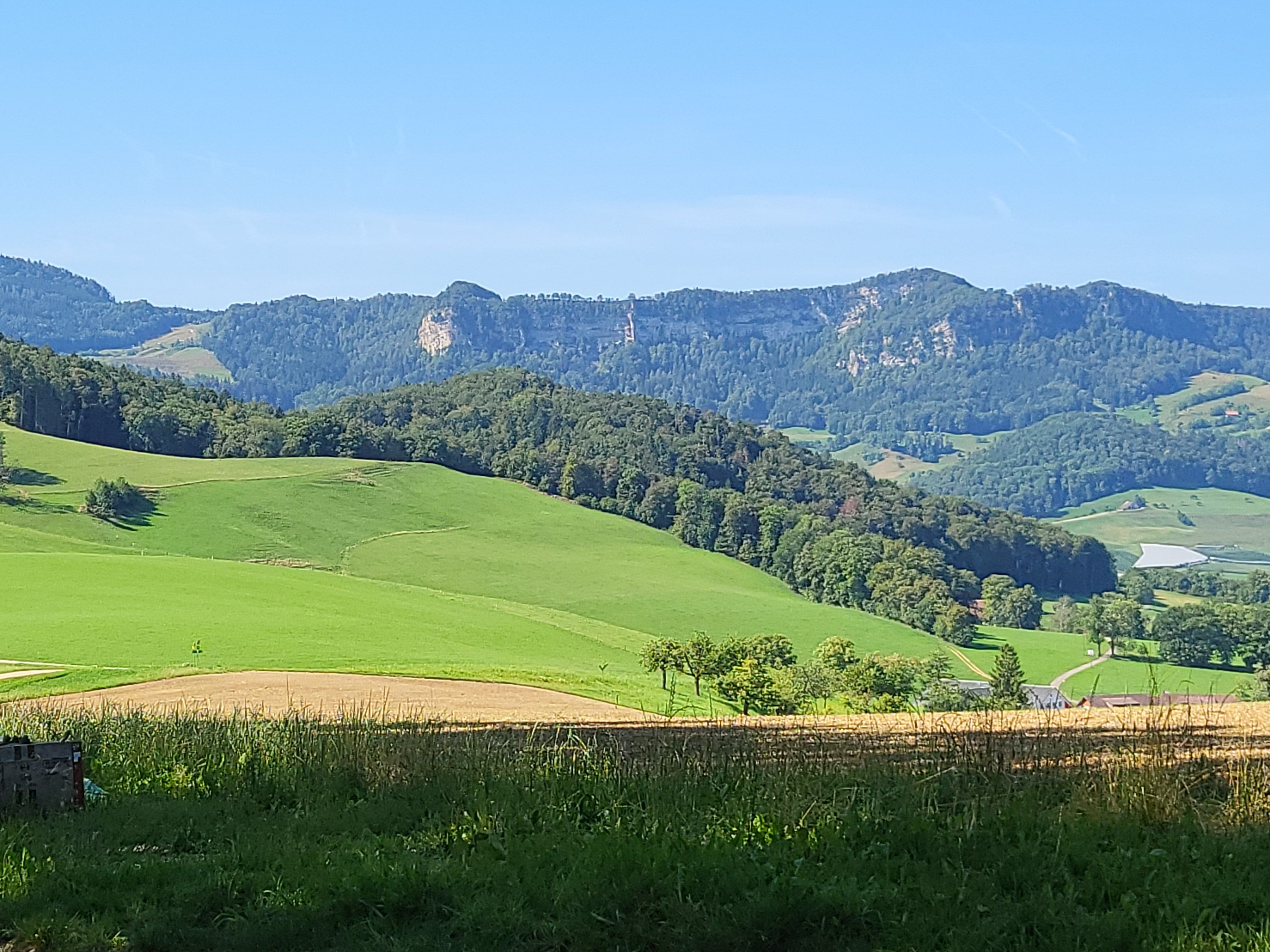 20230818_104916.jpg