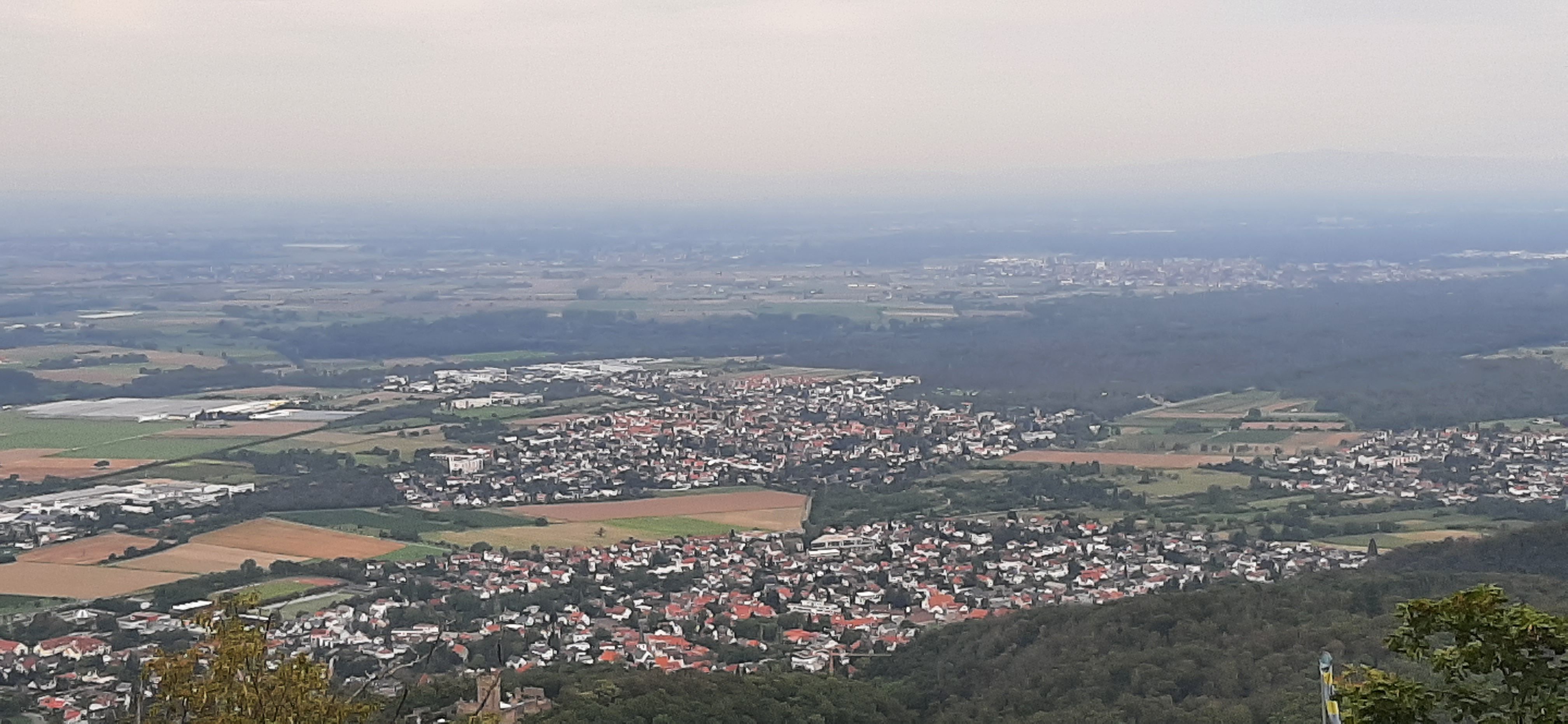 20230819_142002.jpg