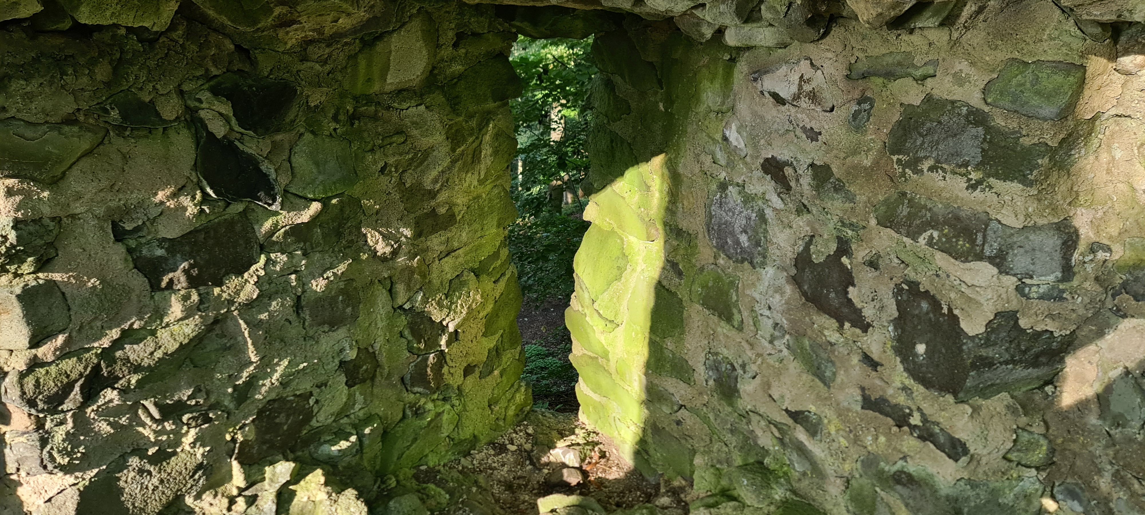 20230910_090857.jpg