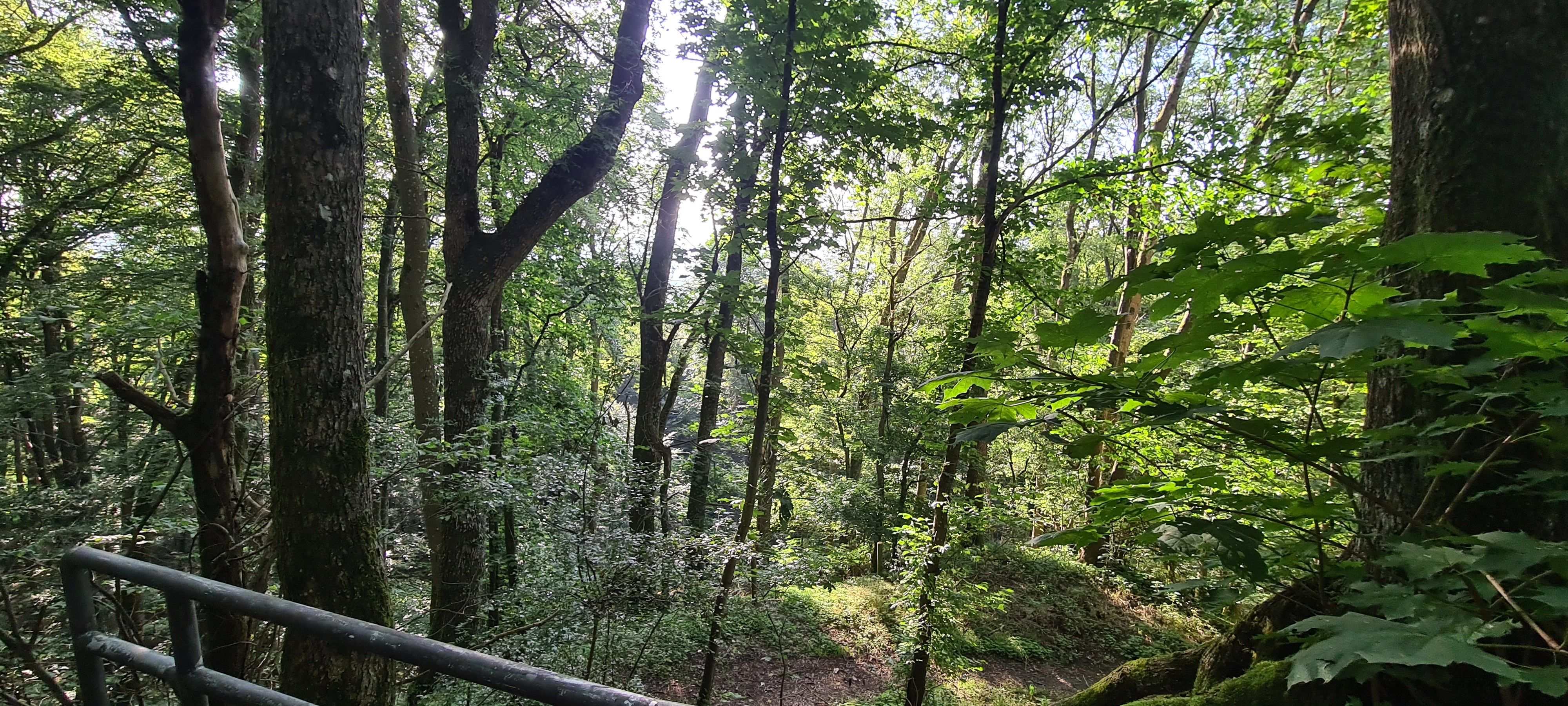 20230910_091004.jpg
