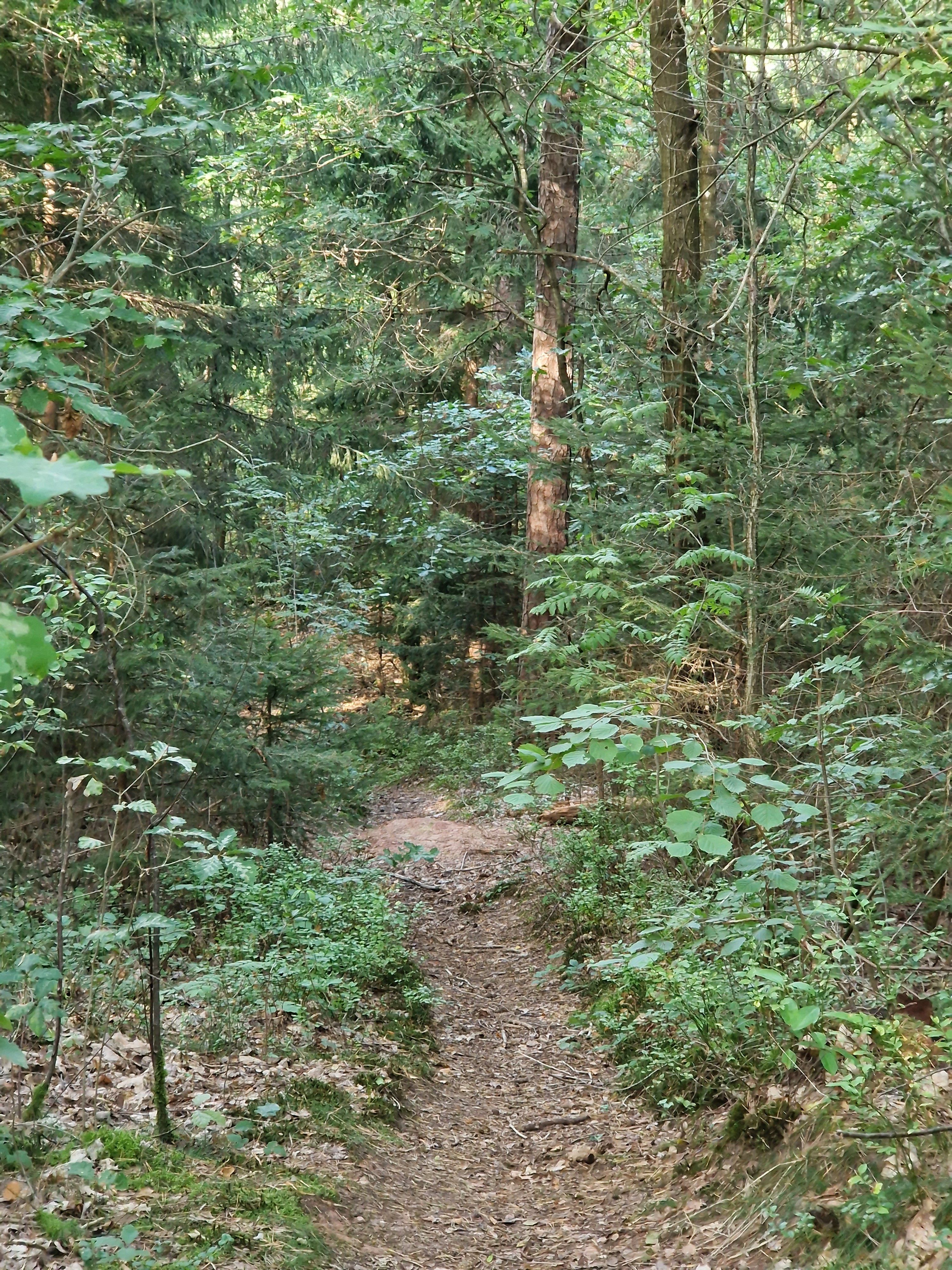 20230921_161229.jpg