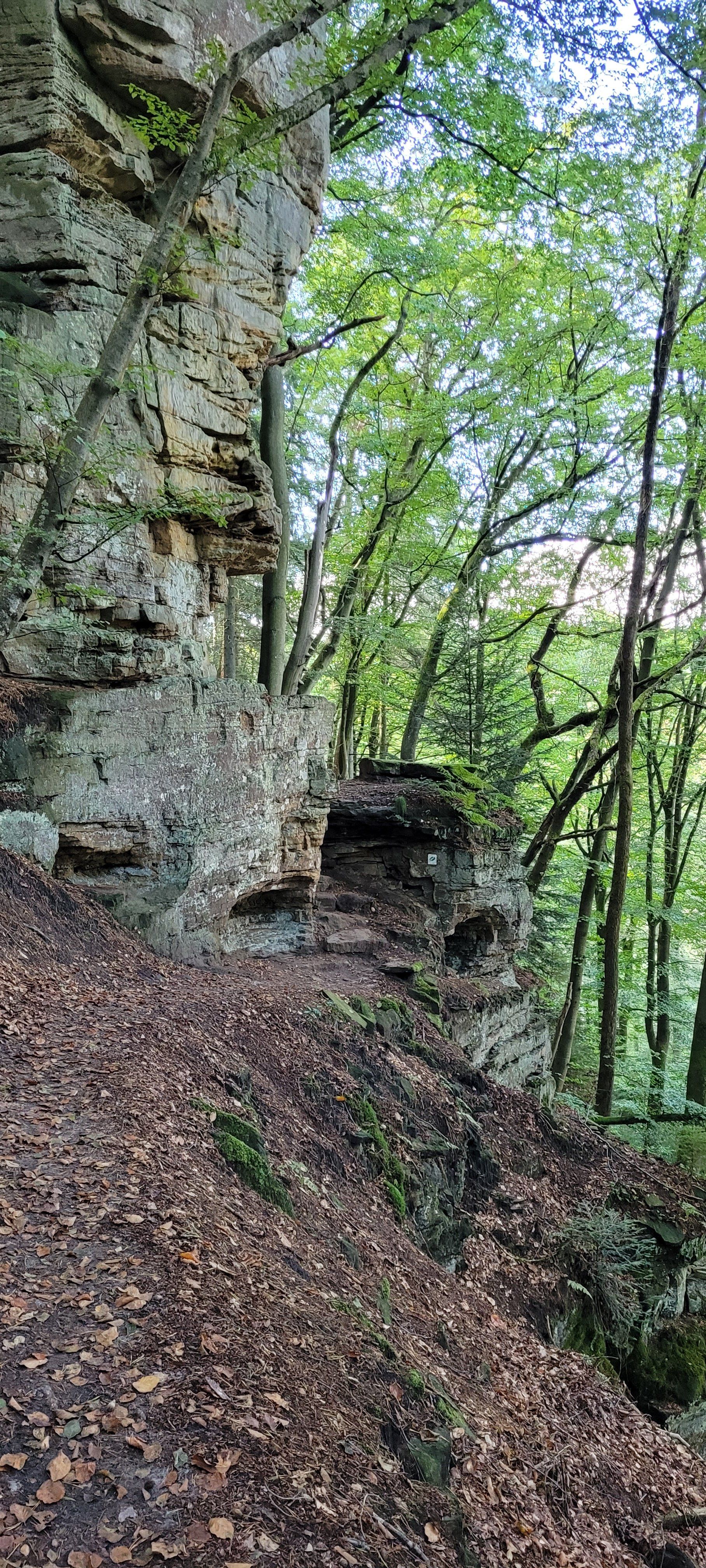 20230923_150715.jpg