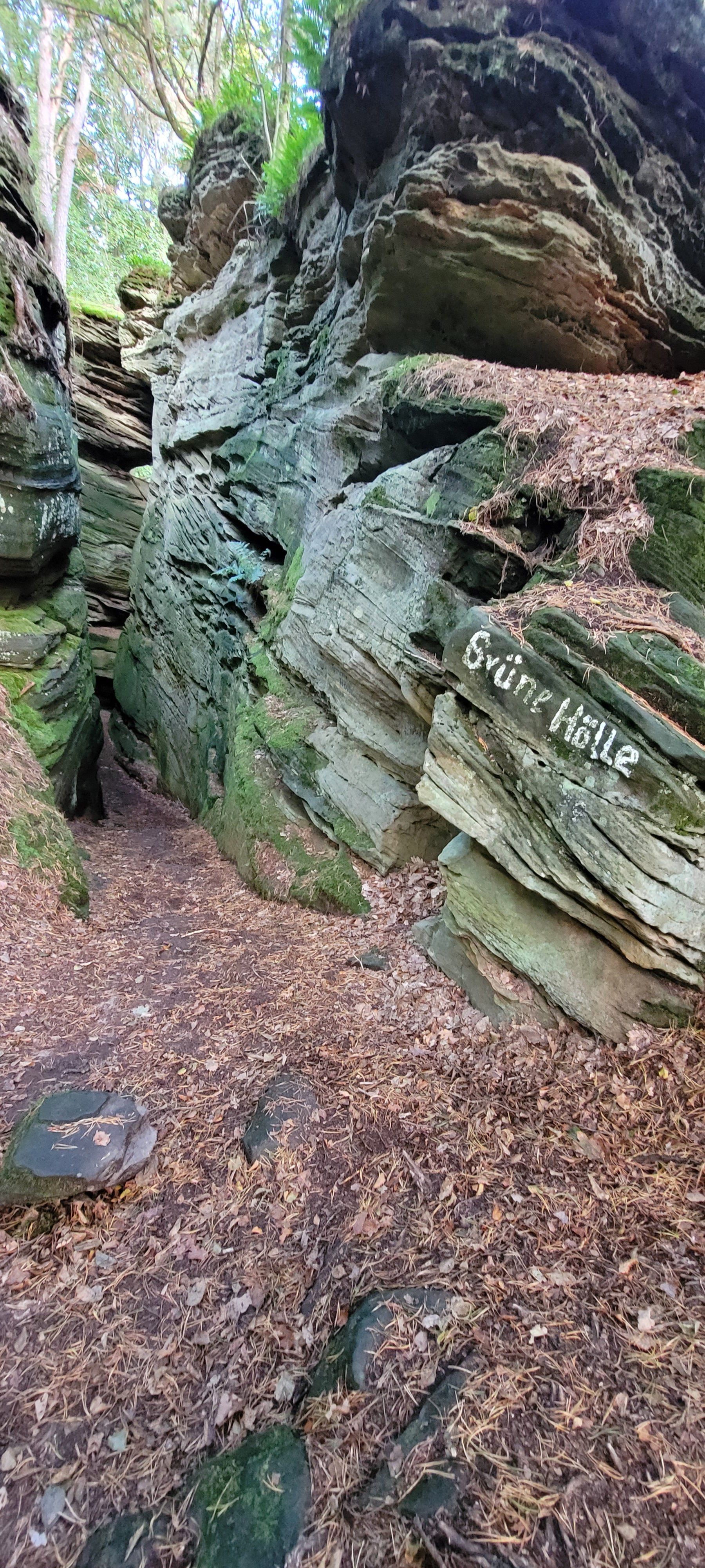 20230923_160331.jpg