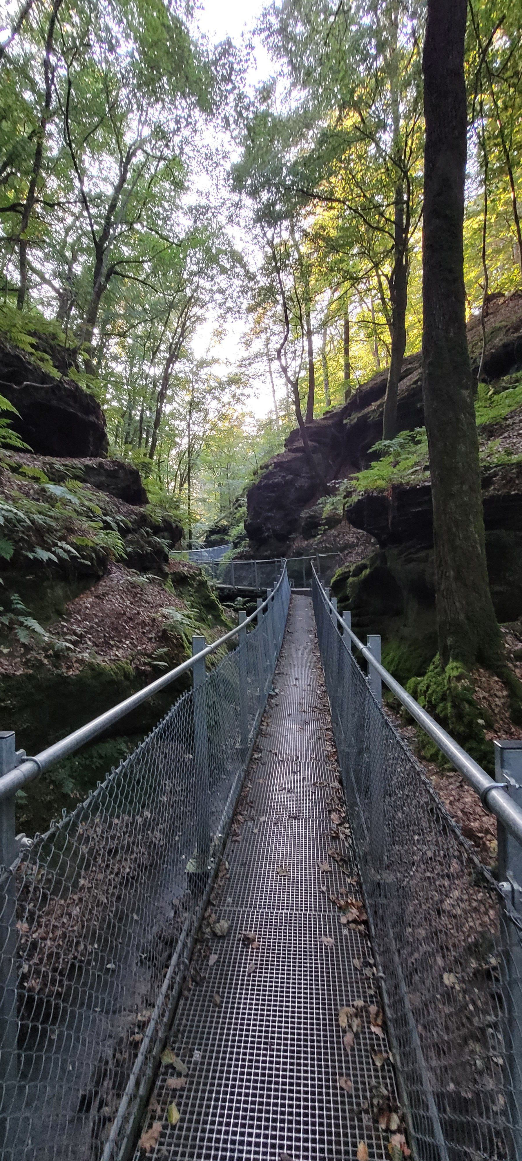 20230923_181911.jpg