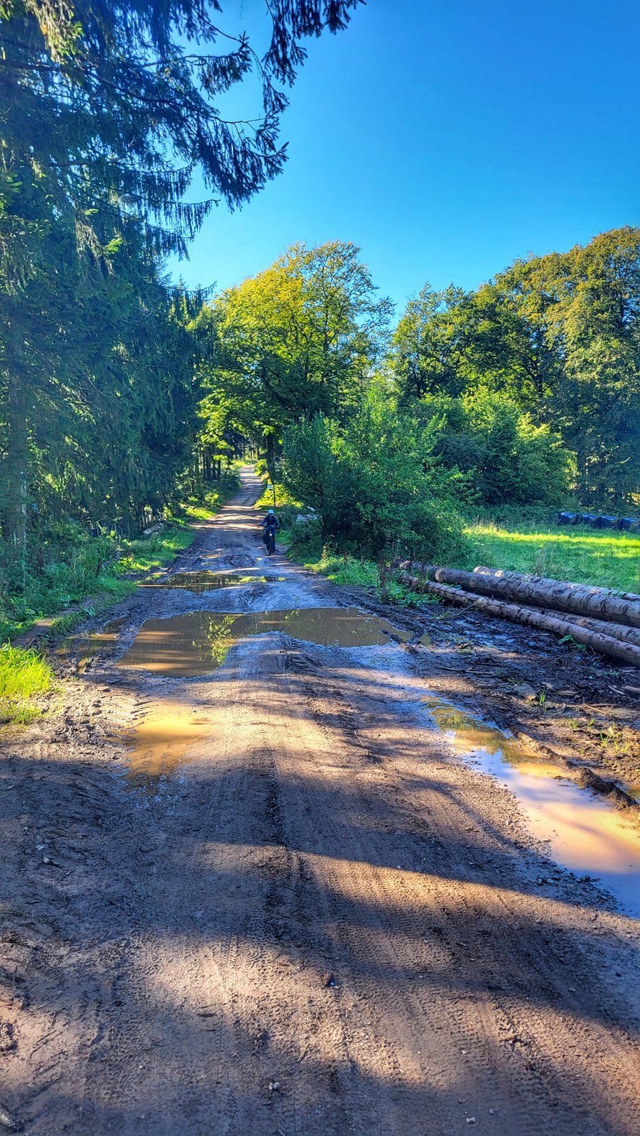 20230924_153124-01.jpg