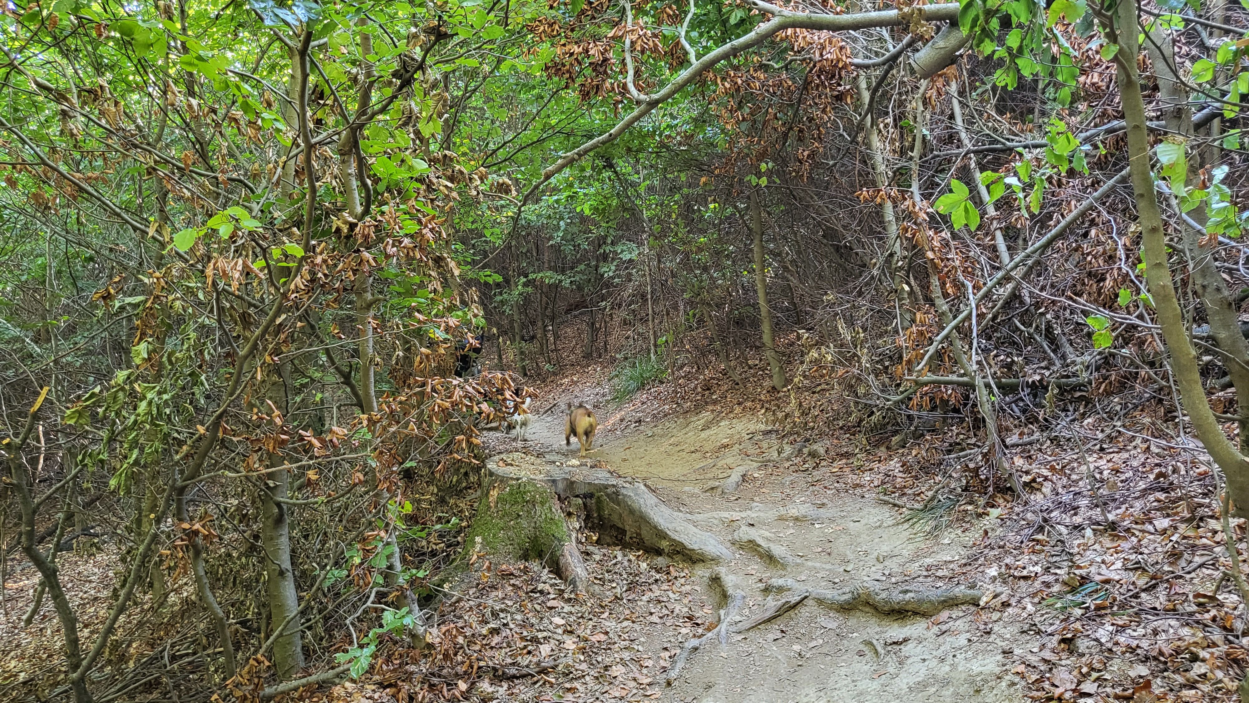 20230928_103927.jpg