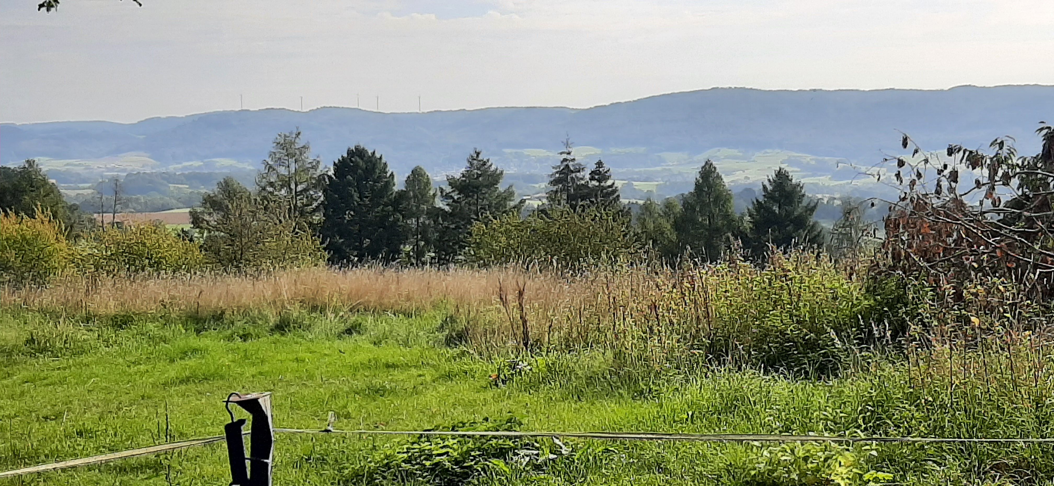 20230929_113151.jpg