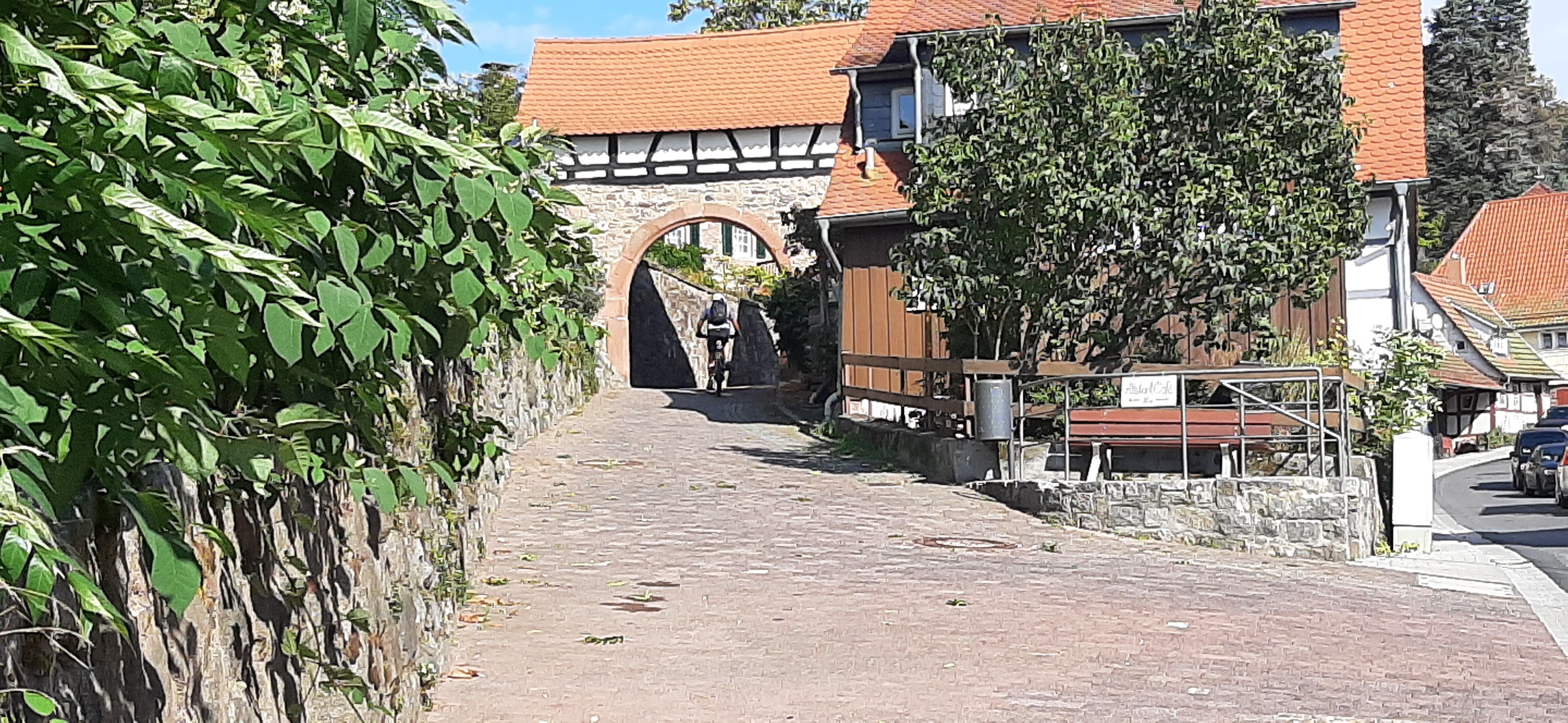 20230929_122718.jpg