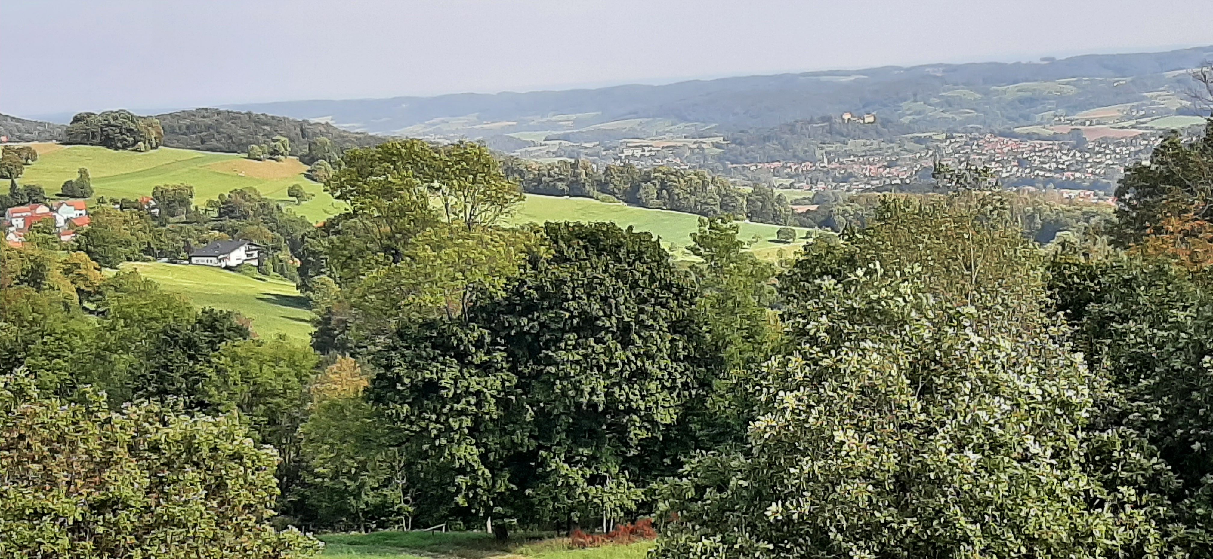 20230929_130534.jpg
