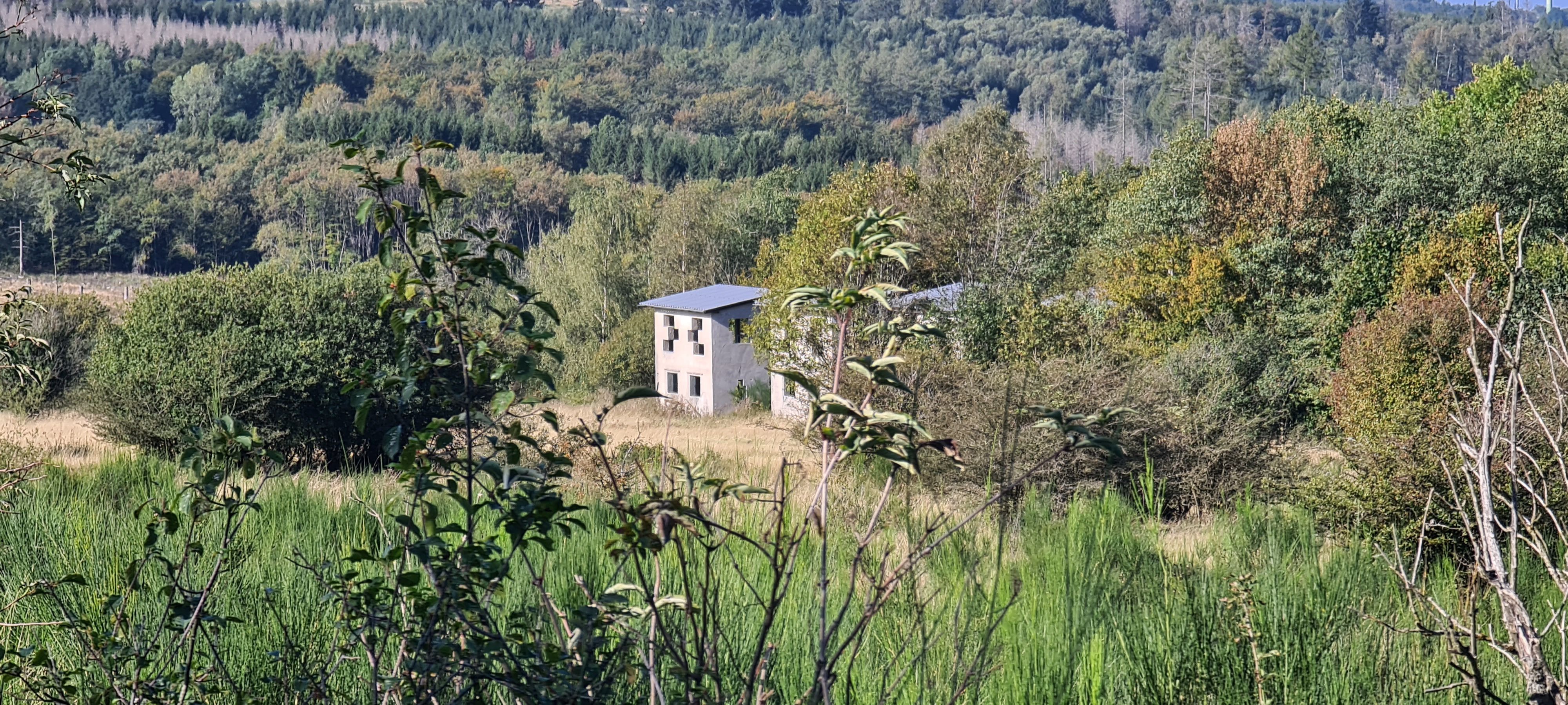 20231001_105848.jpg
