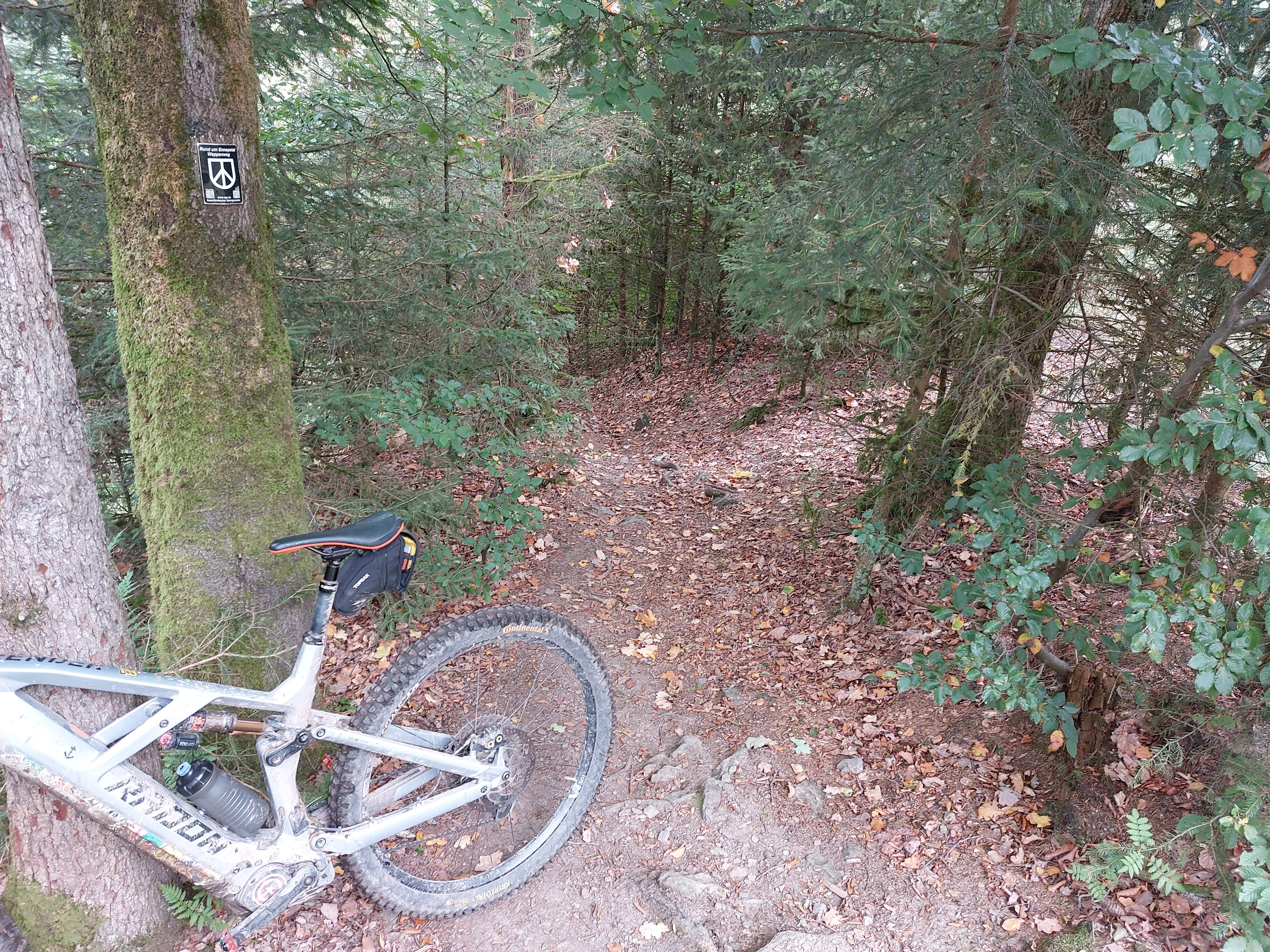 20231003_123634.jpg