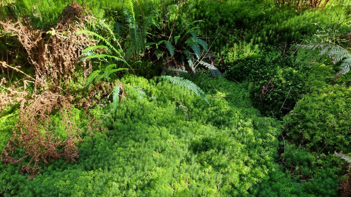 20231006_120731.jpg