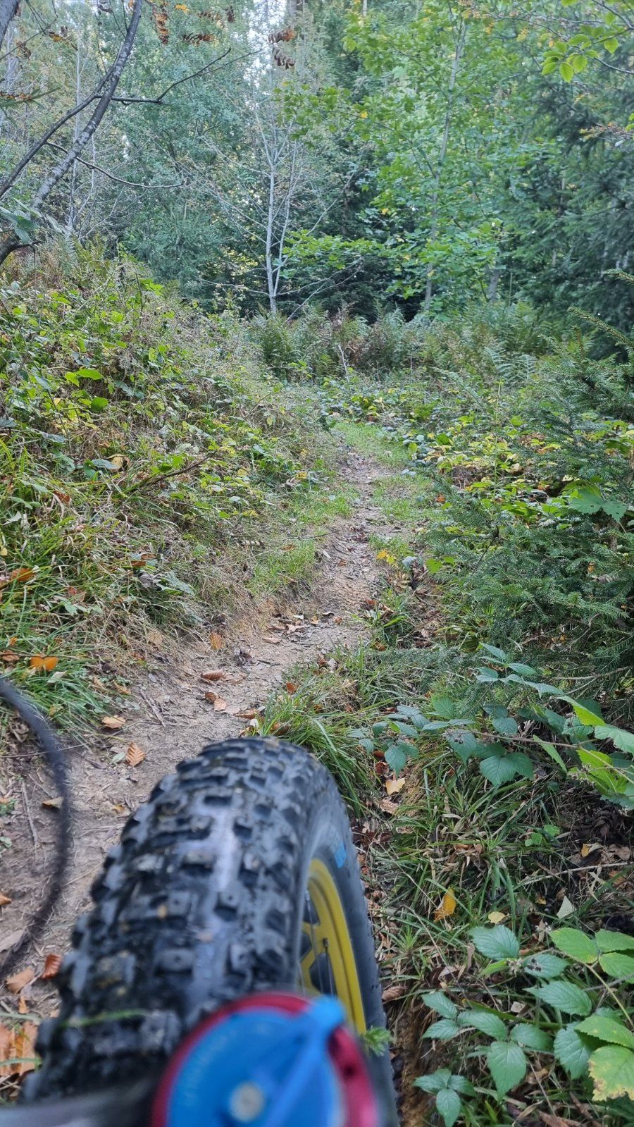 20231011_113744.jpg