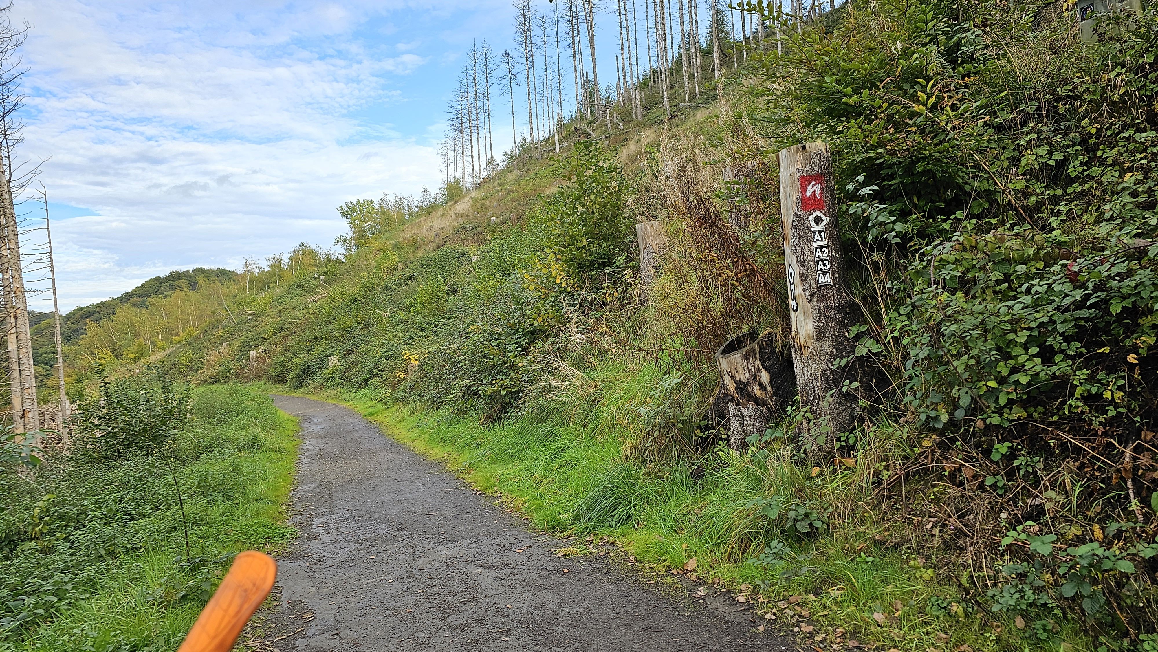 20231019_140443.jpg